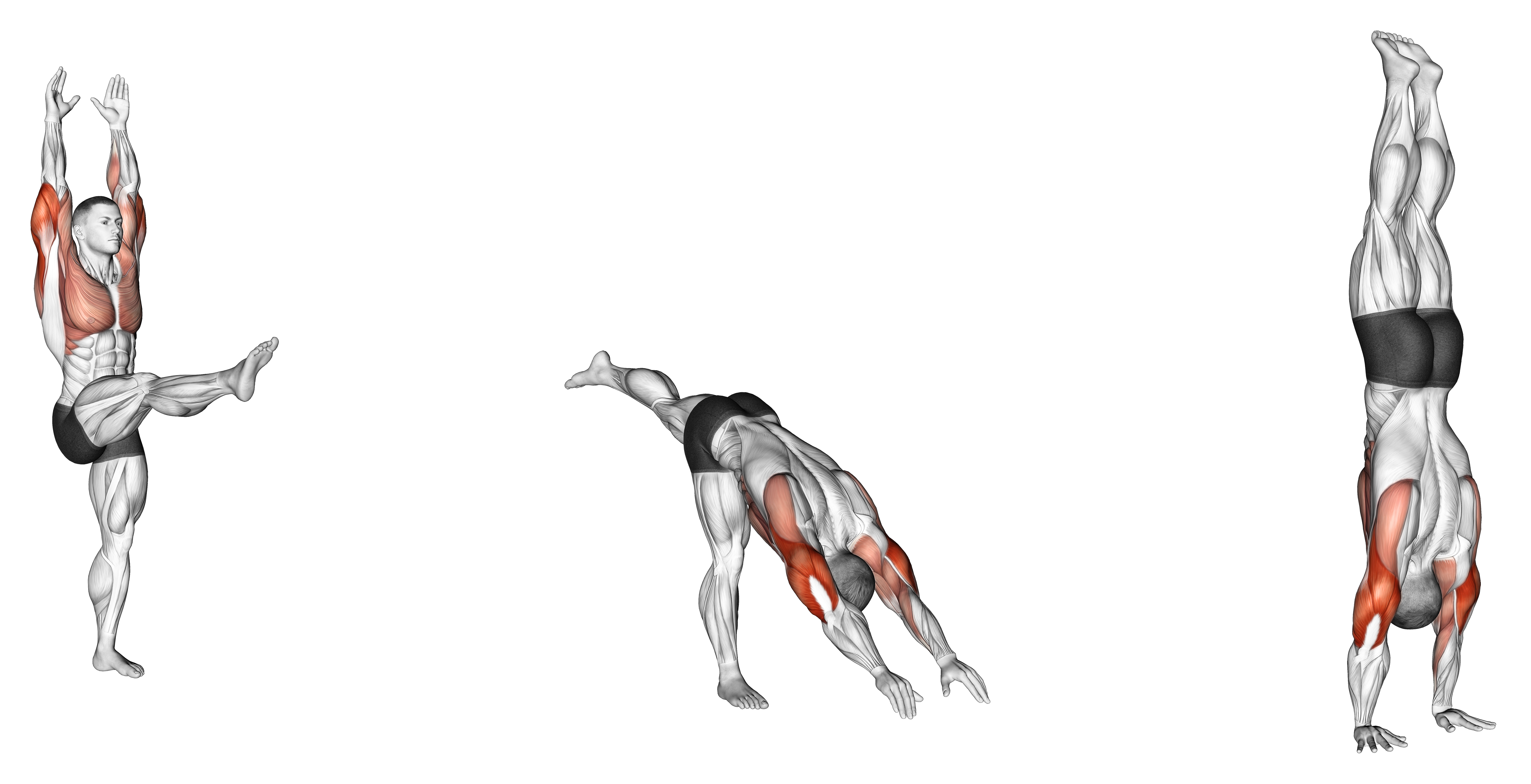 Handstand