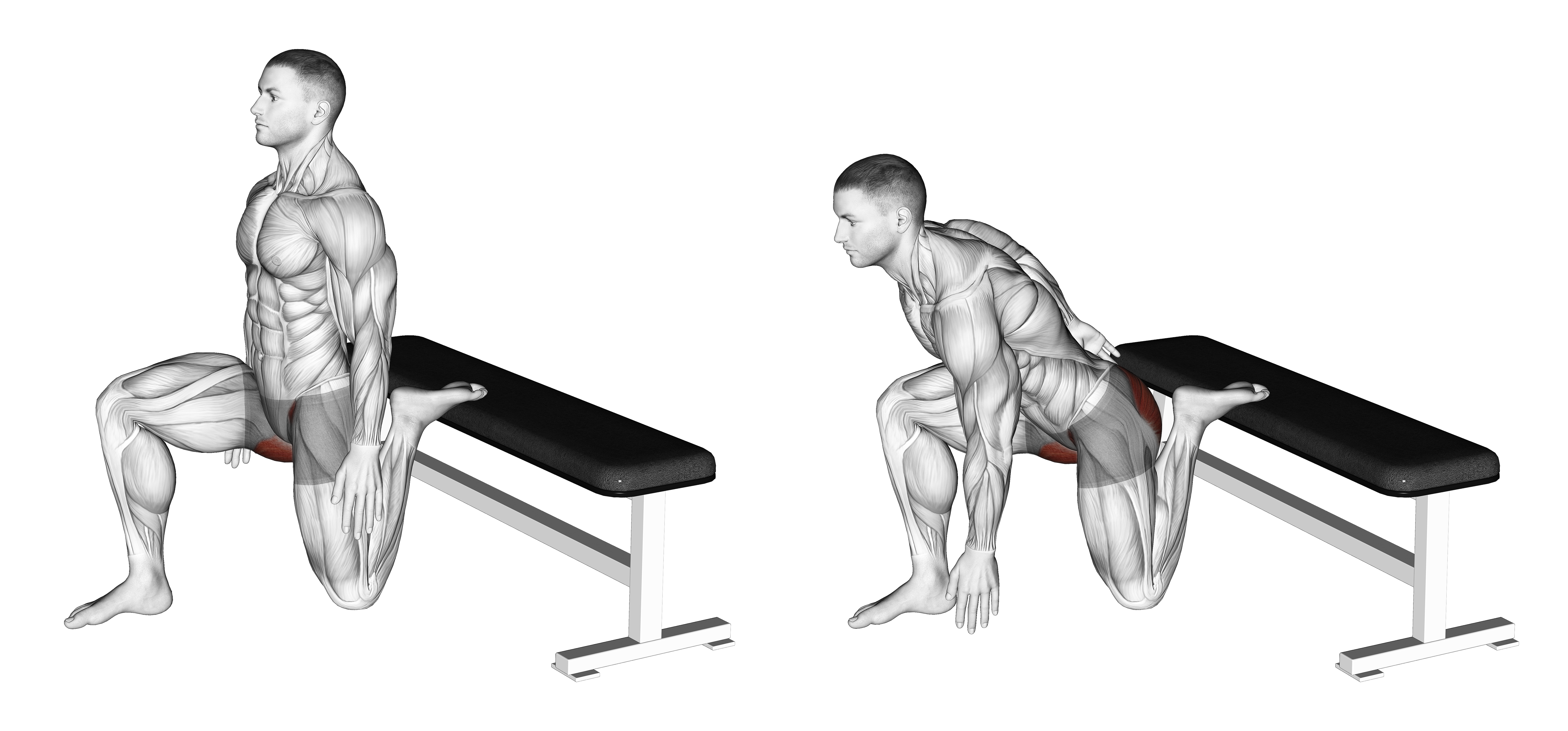 Hip Flexor Stretch Rear Foot Elevated