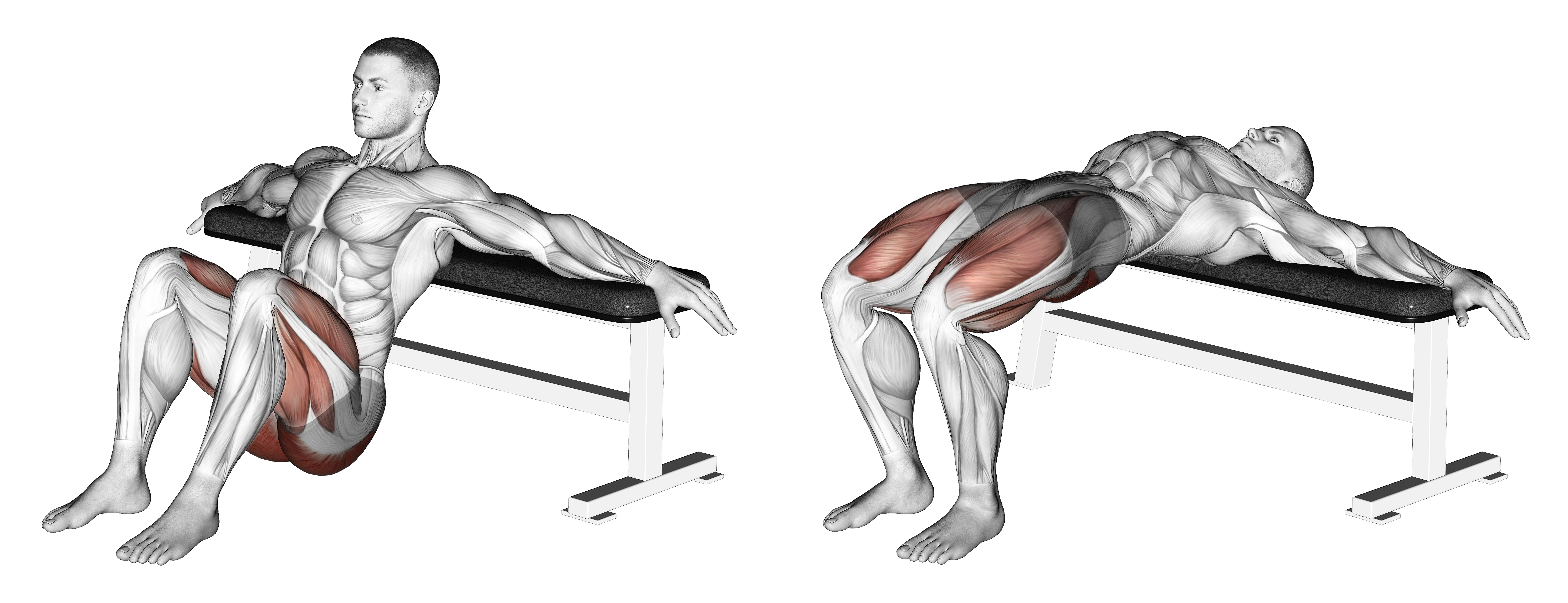Hip Thrusts