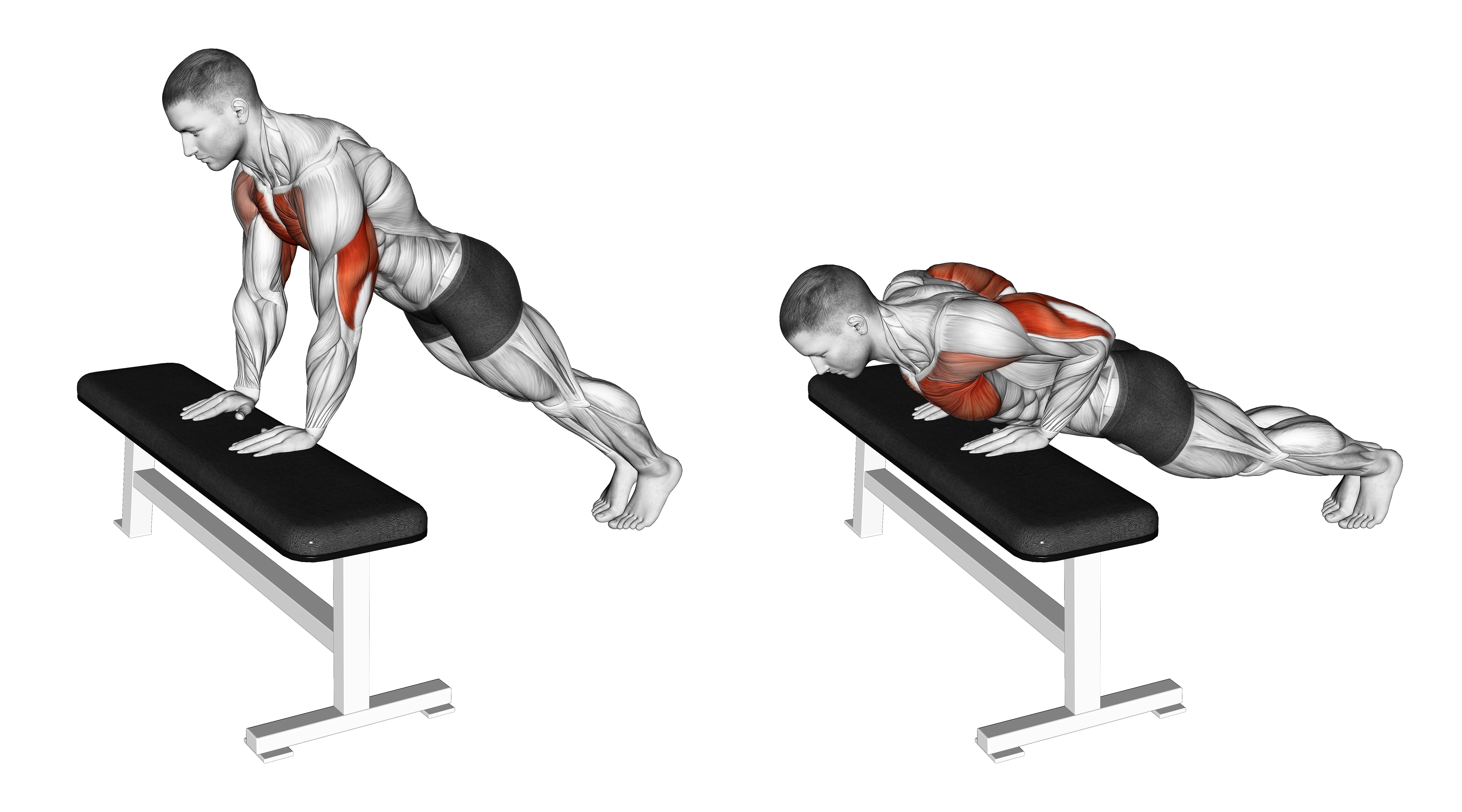 Incline Close Grip Push Up