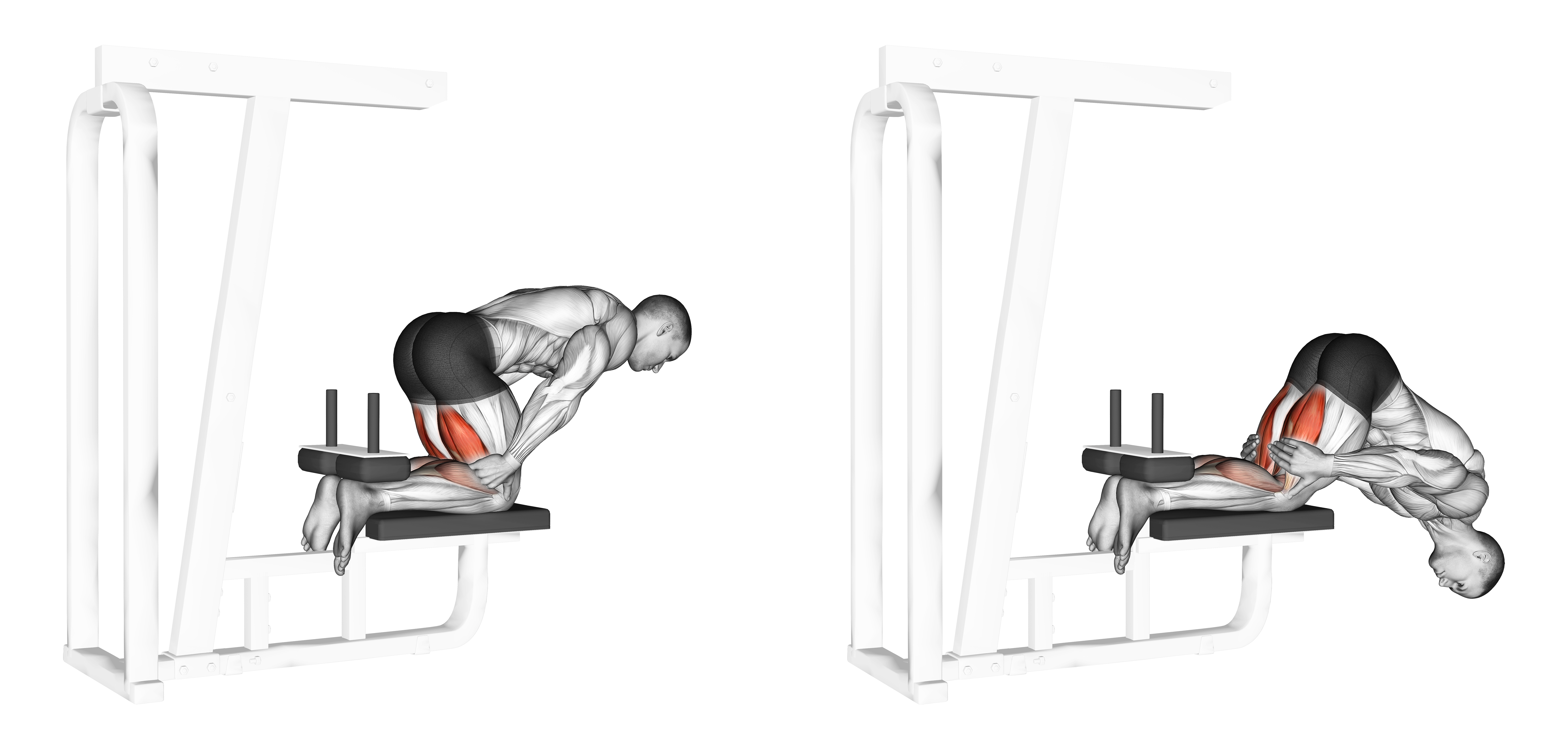 Inverse Leg Curl (bench Support)