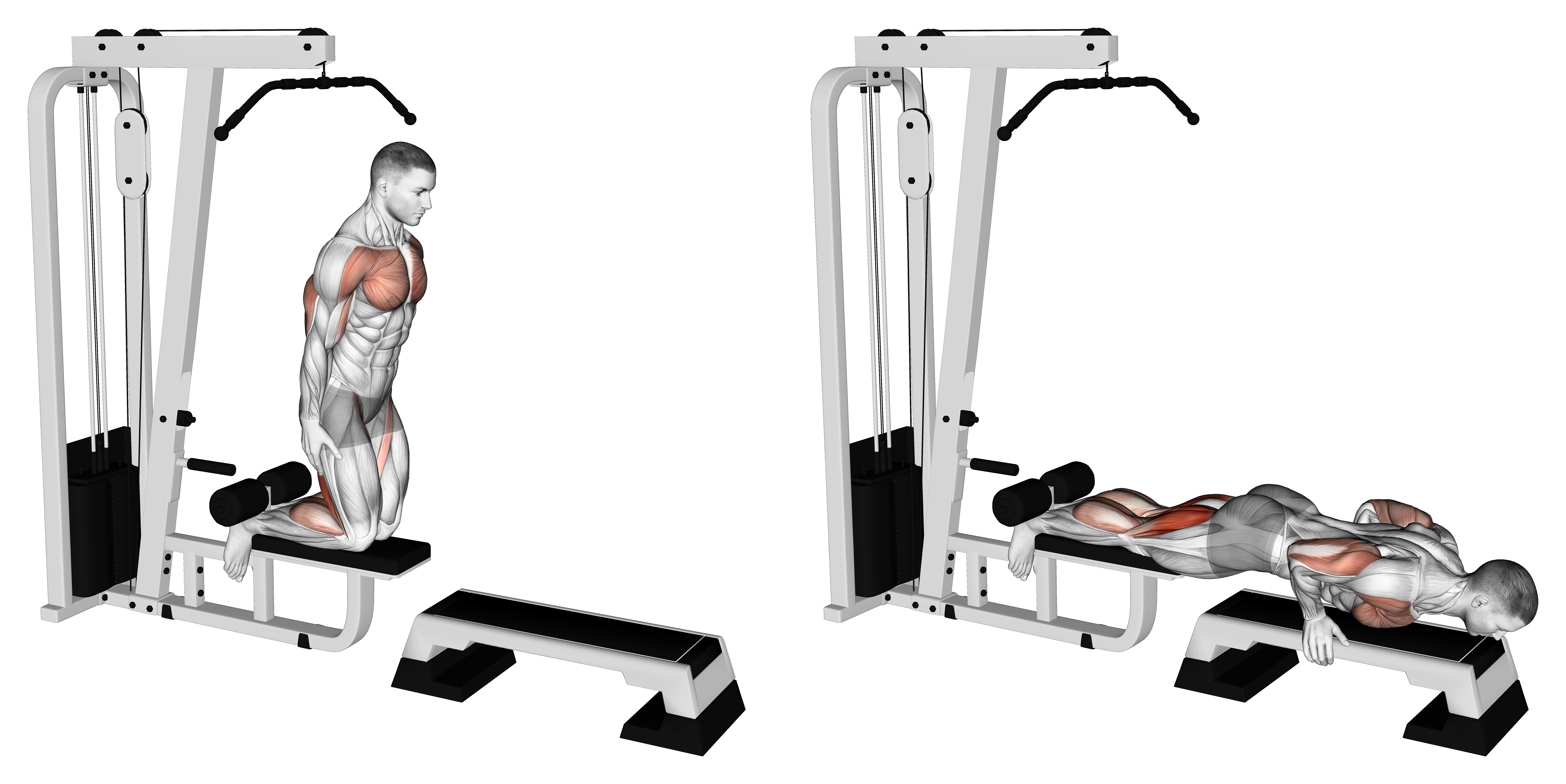 Inverse Leg Curl (on Pull Up Cable Machine)