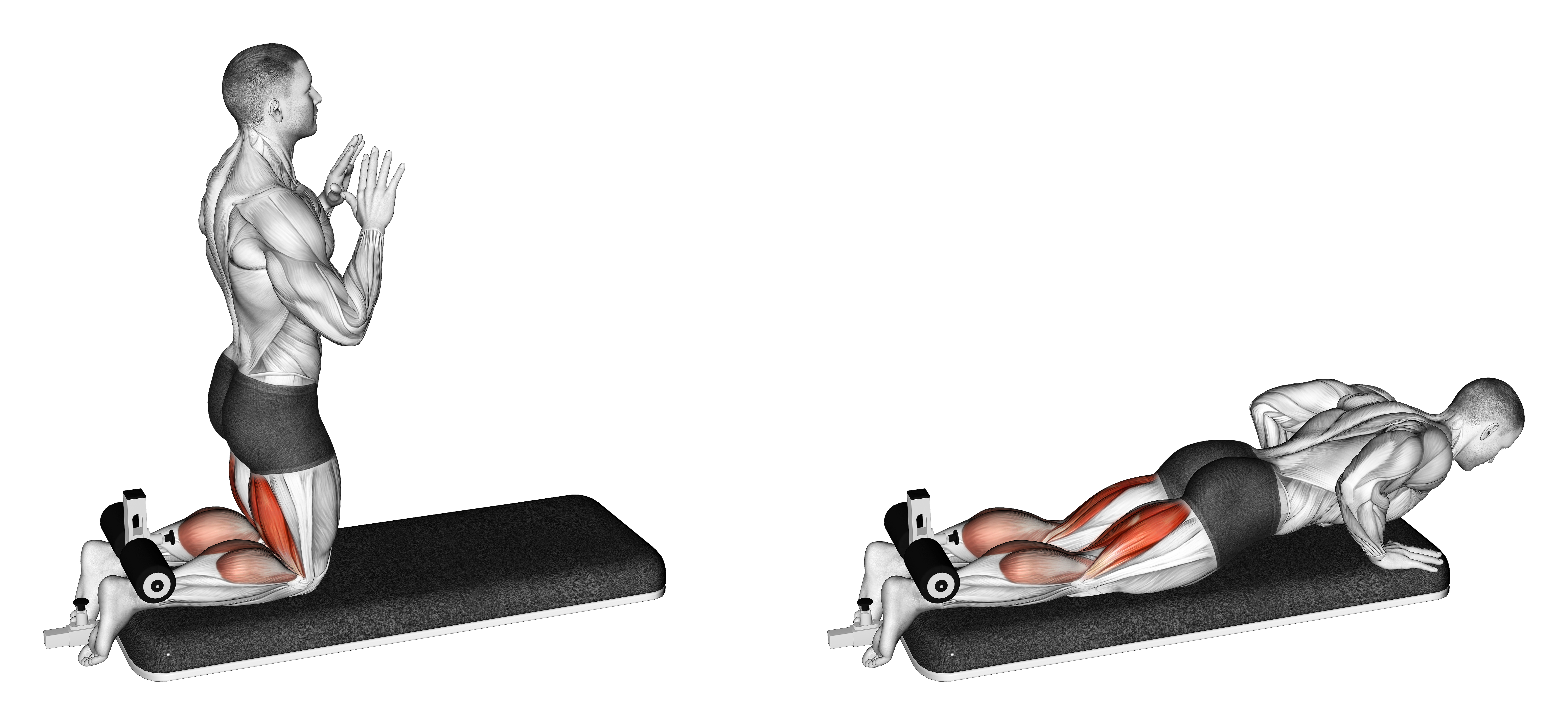 Inverse Leg Curl With Bench Pads