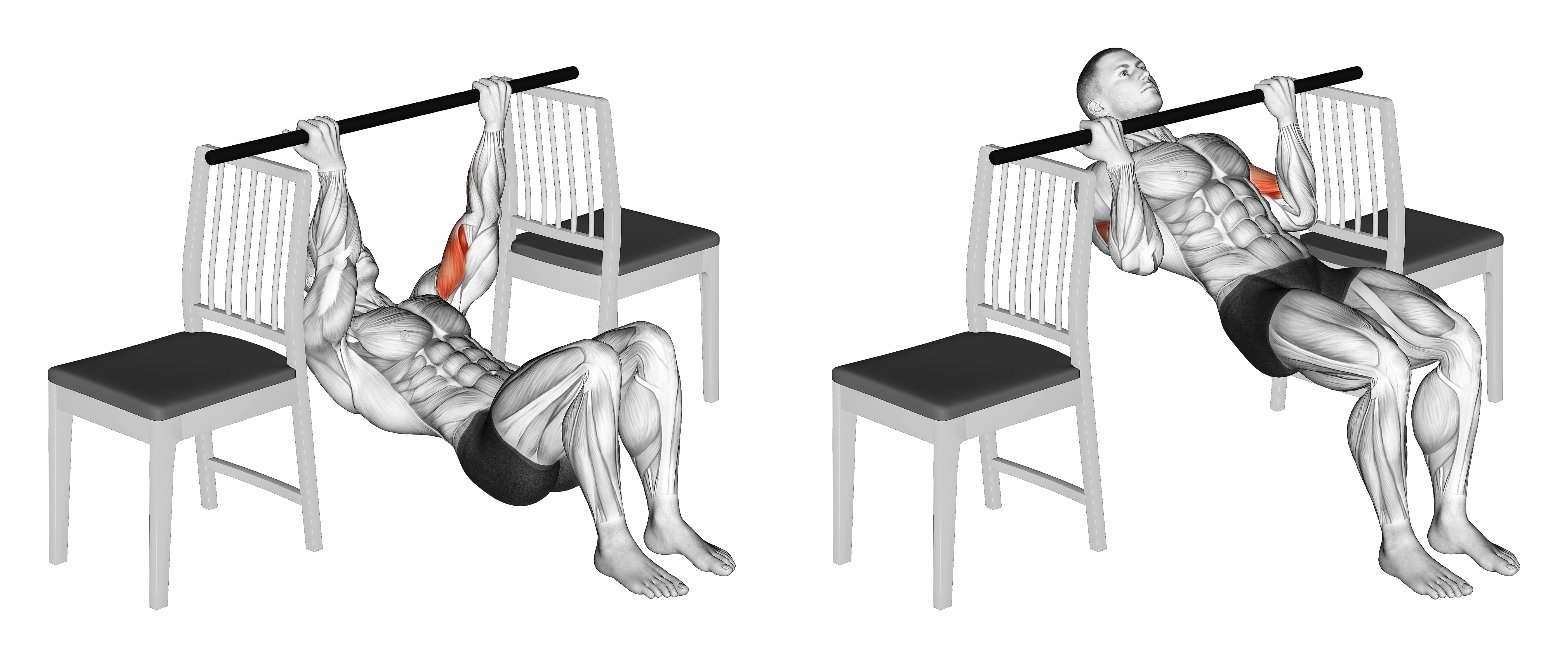 Inverted Chin Curl With Bent Knee Between Chairs