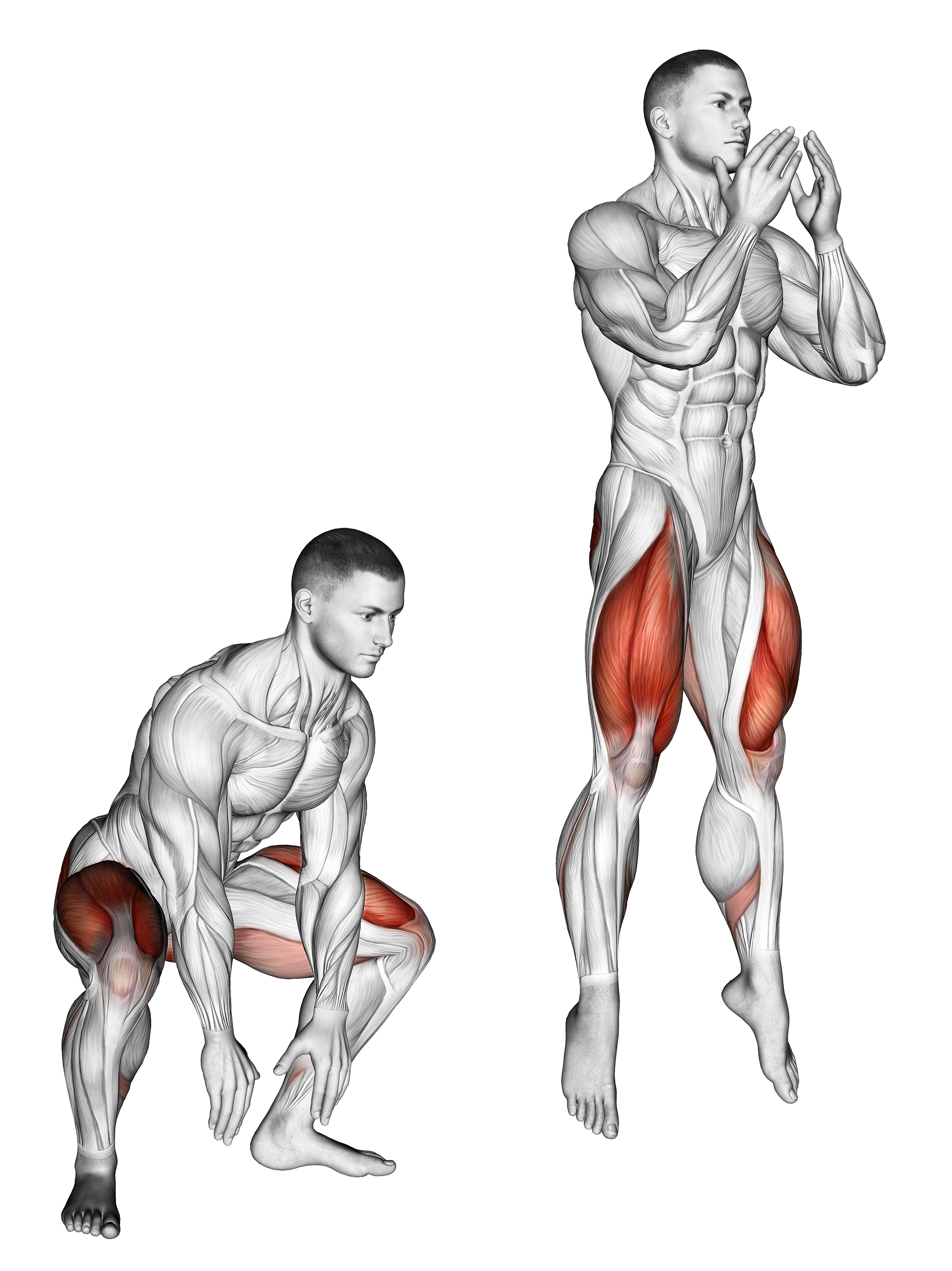 Jump Squat Ii
