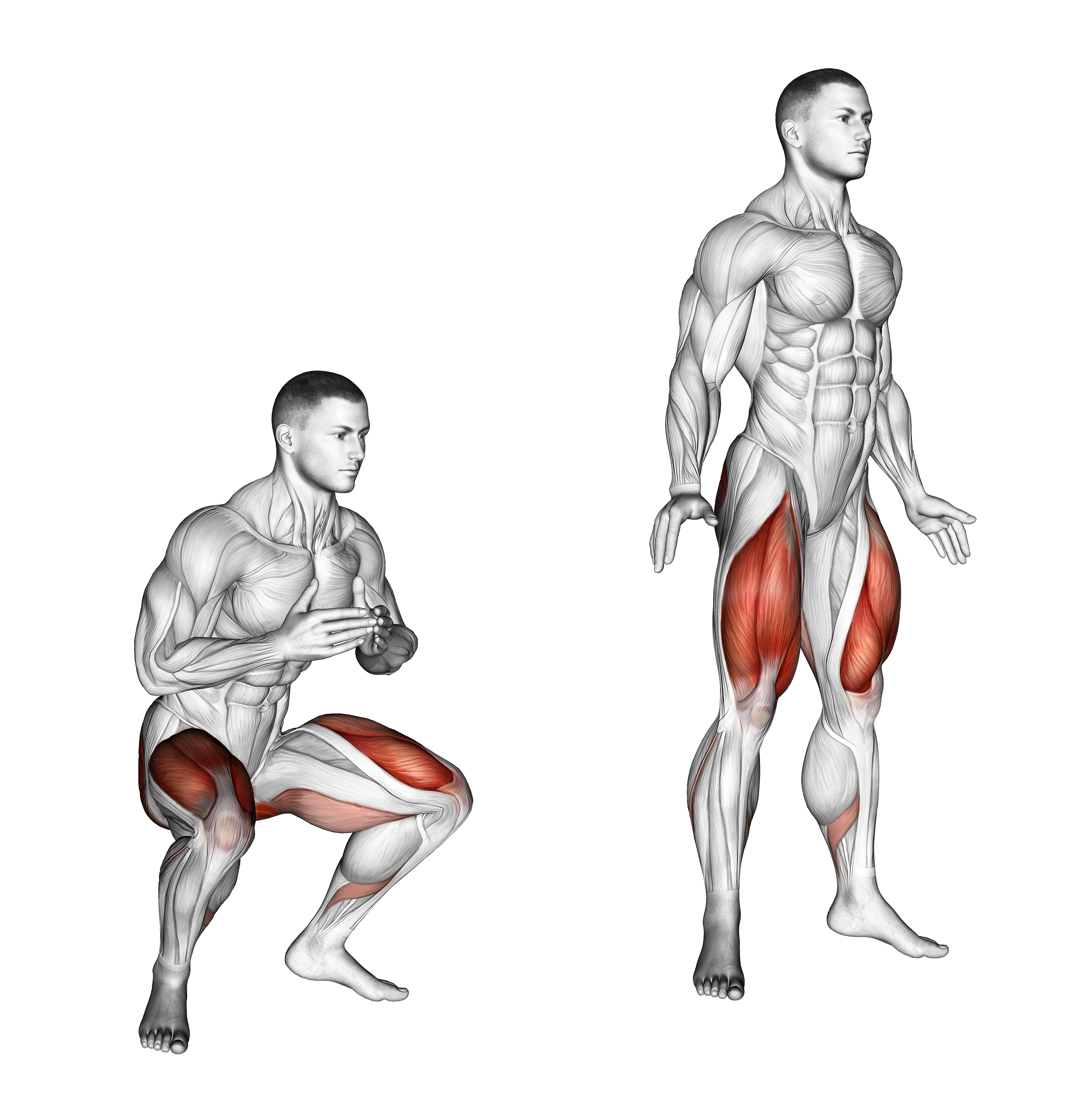 Jump Squat