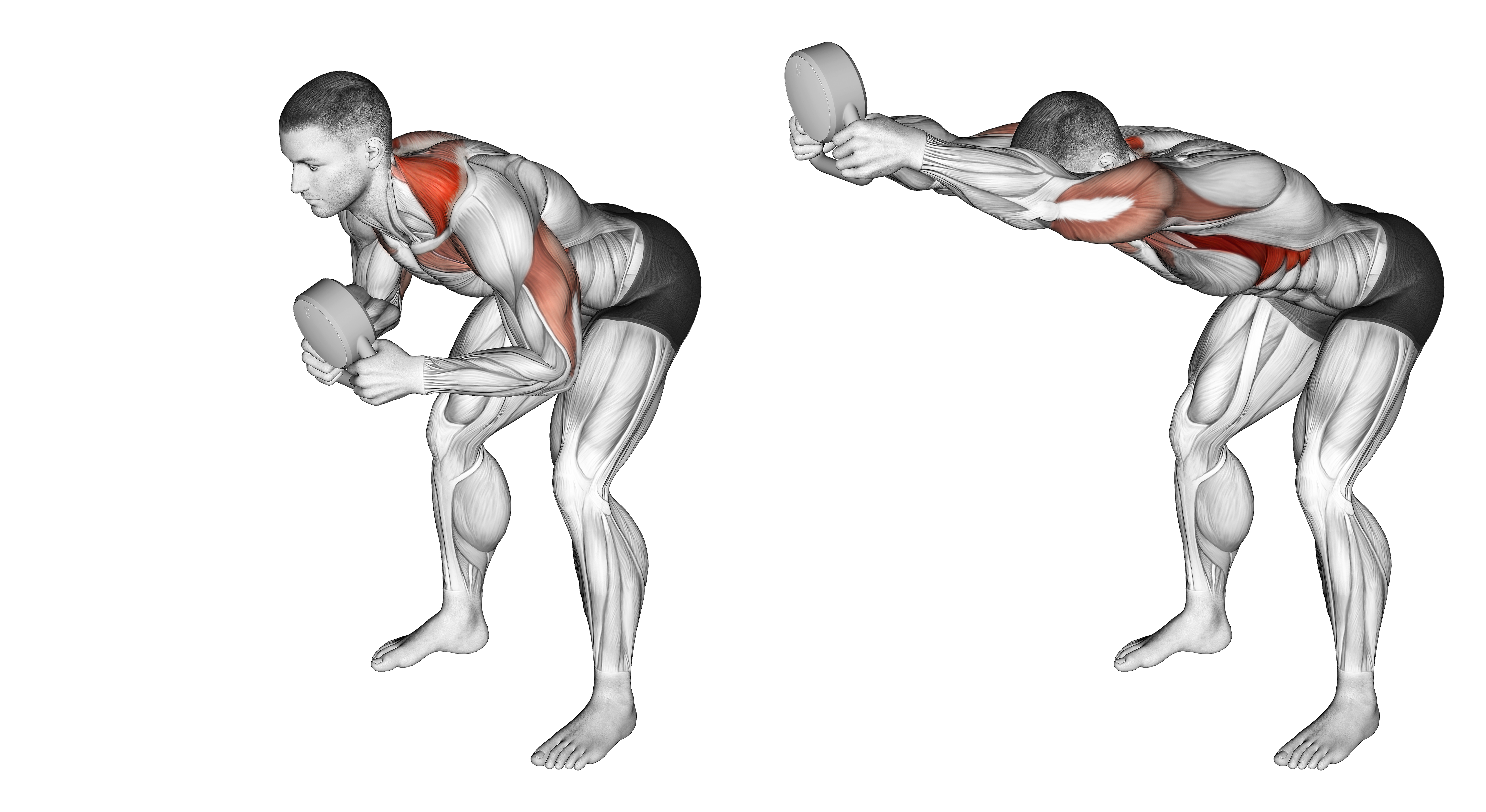 Kettlebell Angled Press