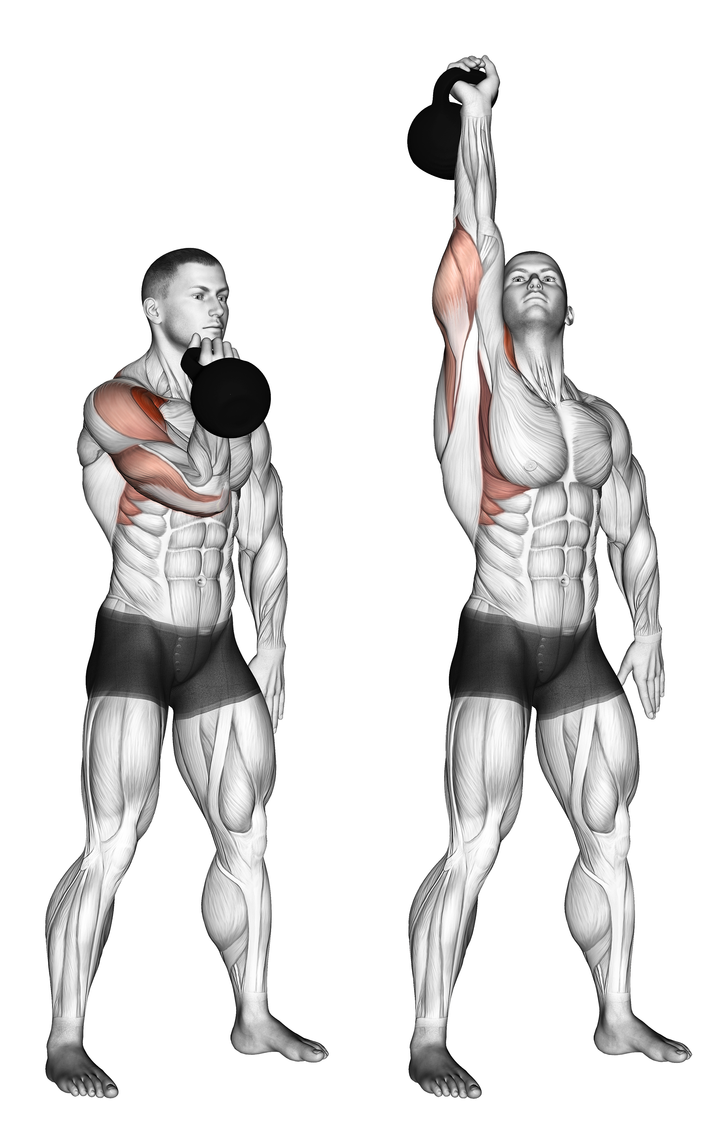 Kettlebell Arnold Press