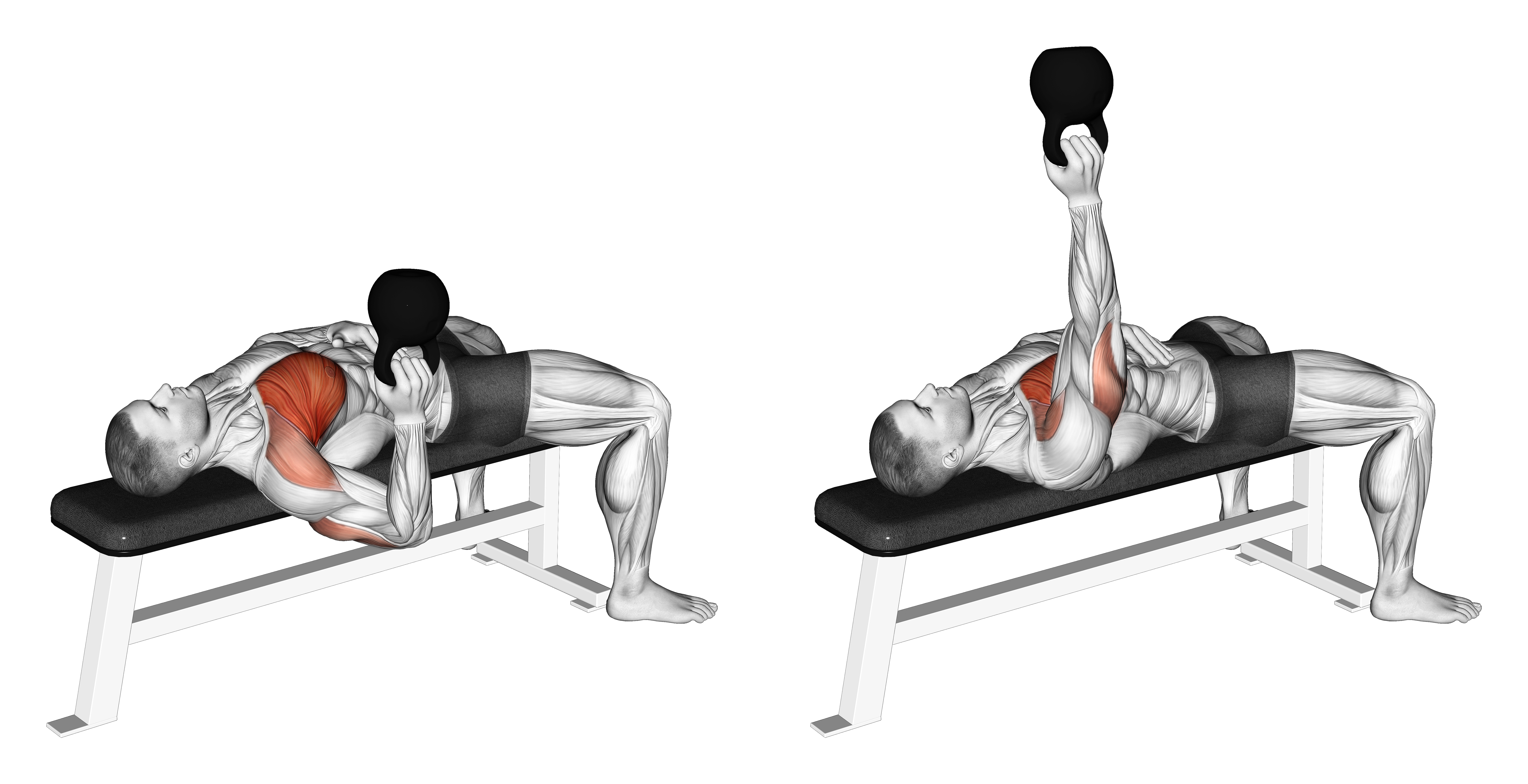 Kettlebell Bottom Up One Arm Bench Press