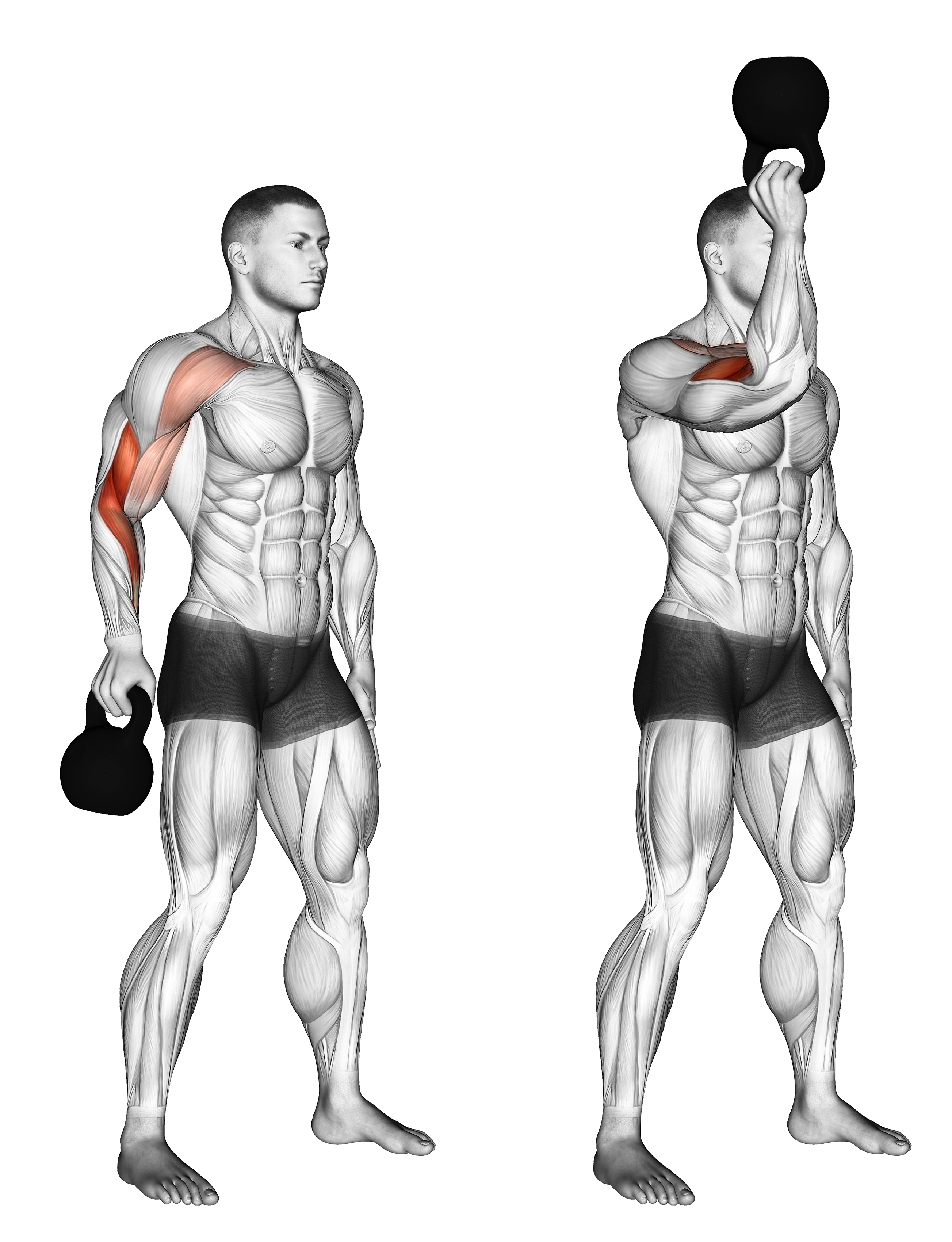Kettlebell Bottoms Up Clean From The Hang Position