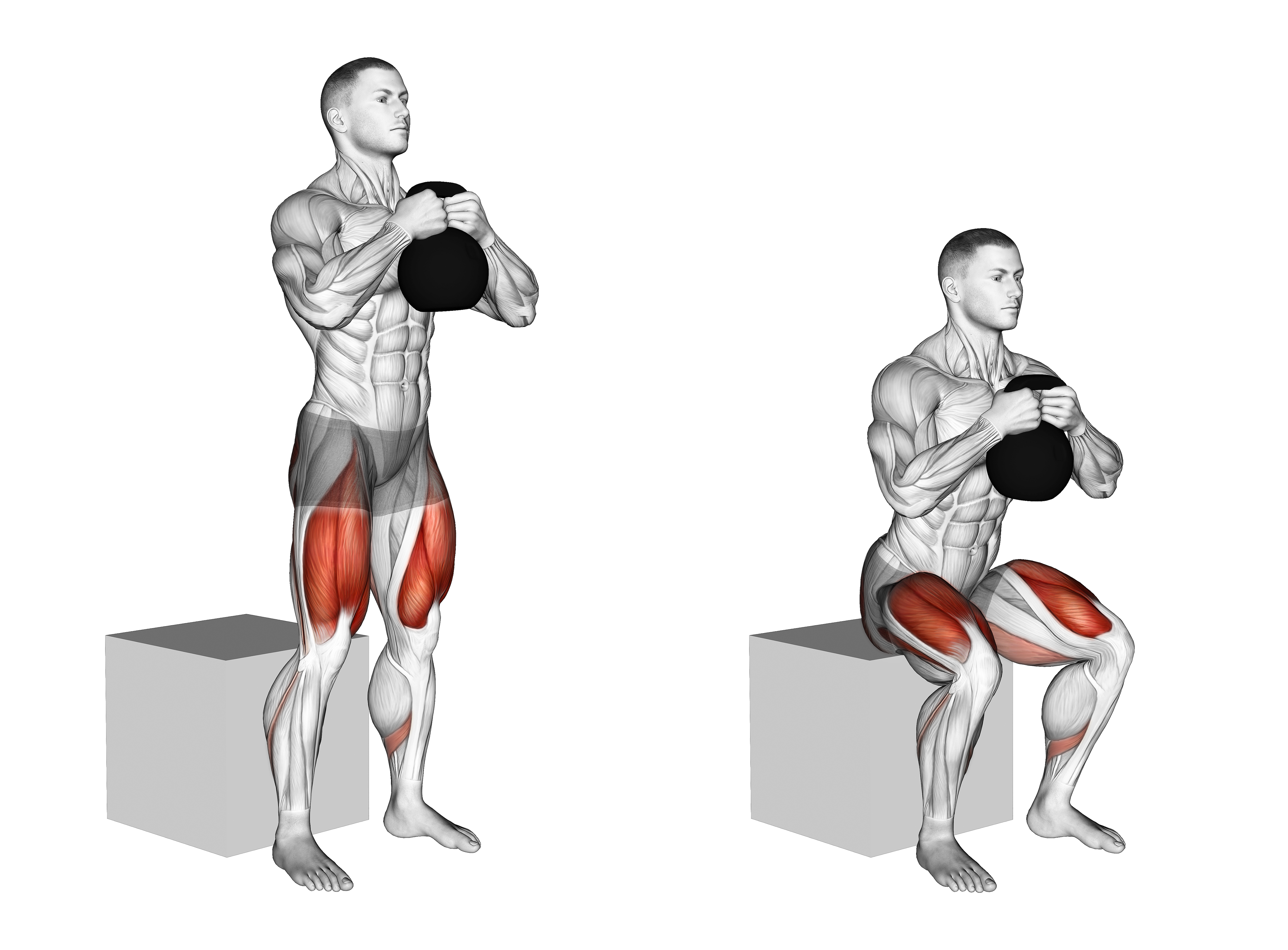 Kettlebell Box Squat