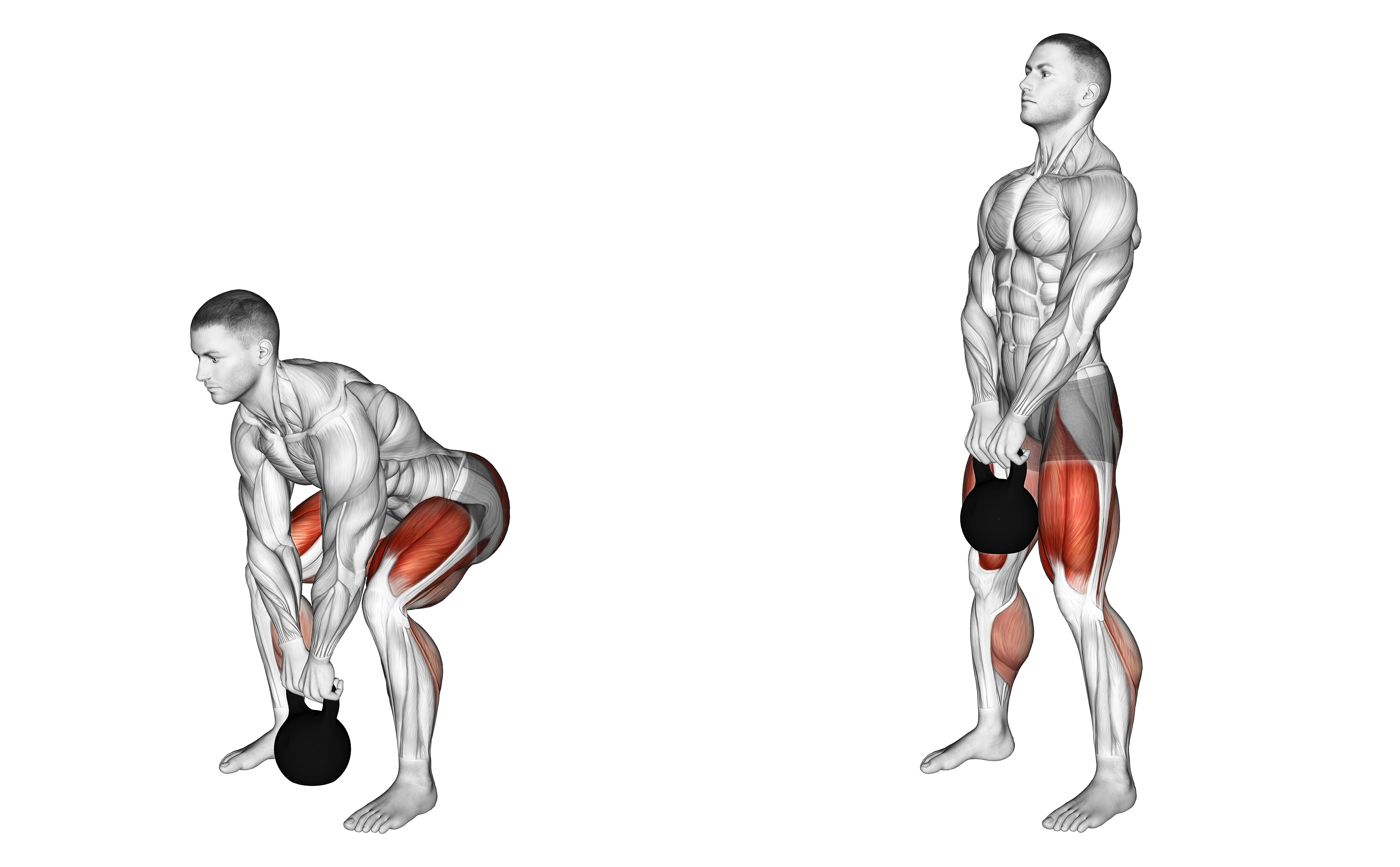 Kettlebell Deadlift