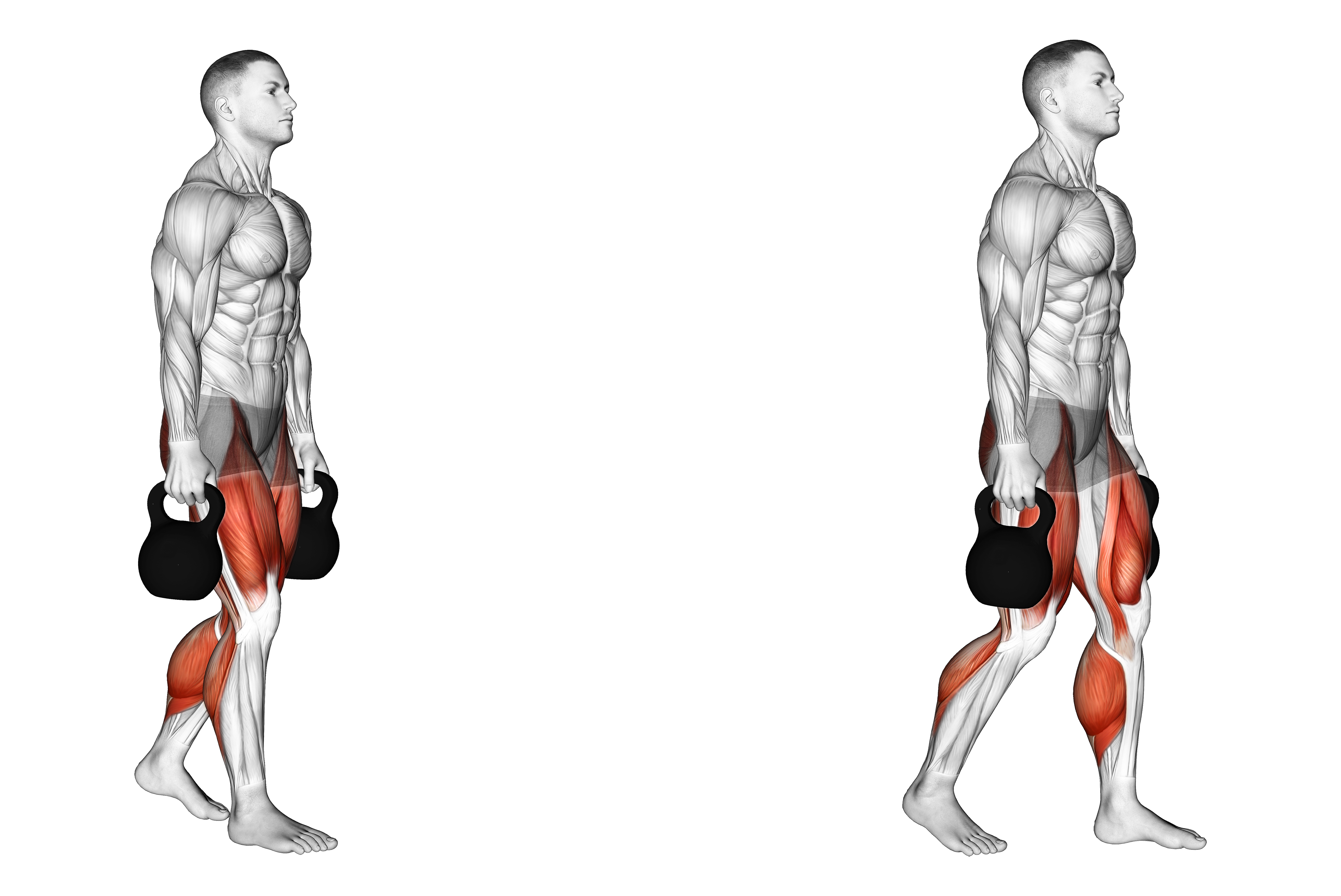 Kettlebell Farmers Carry