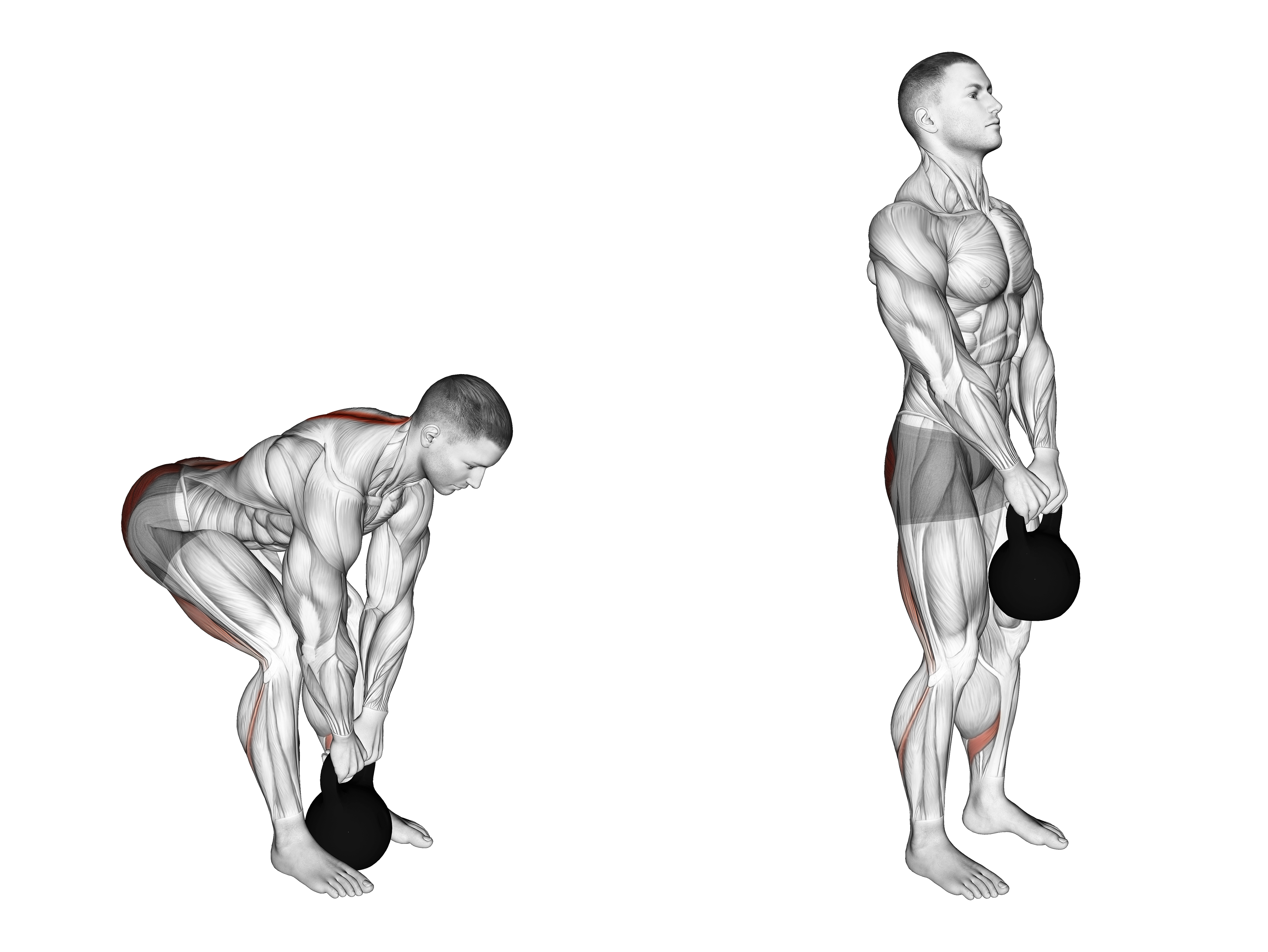 Kettlebell Good Morning
