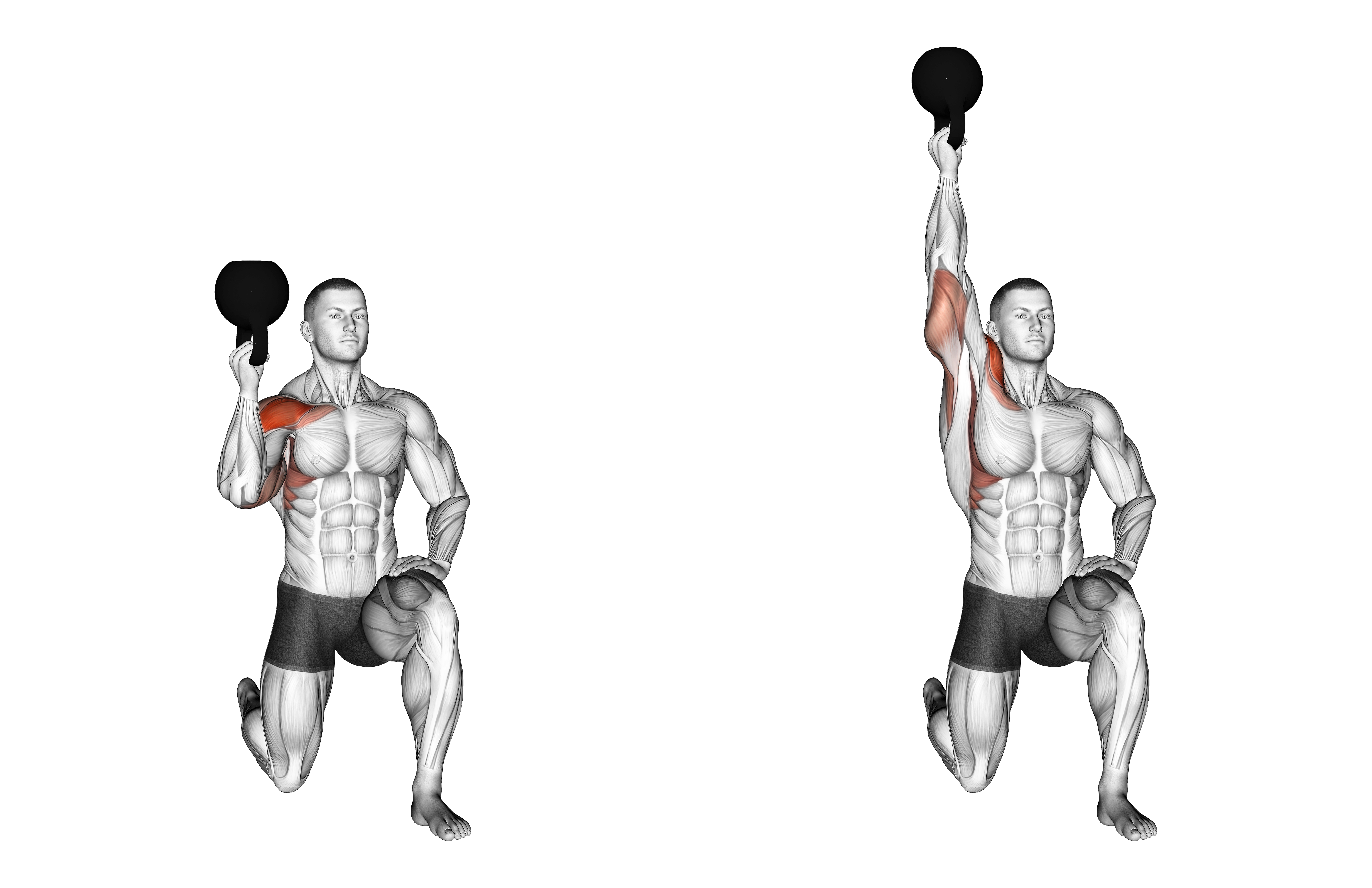 Kettlebell Half Kneeling One Arm Bottoms Up Press