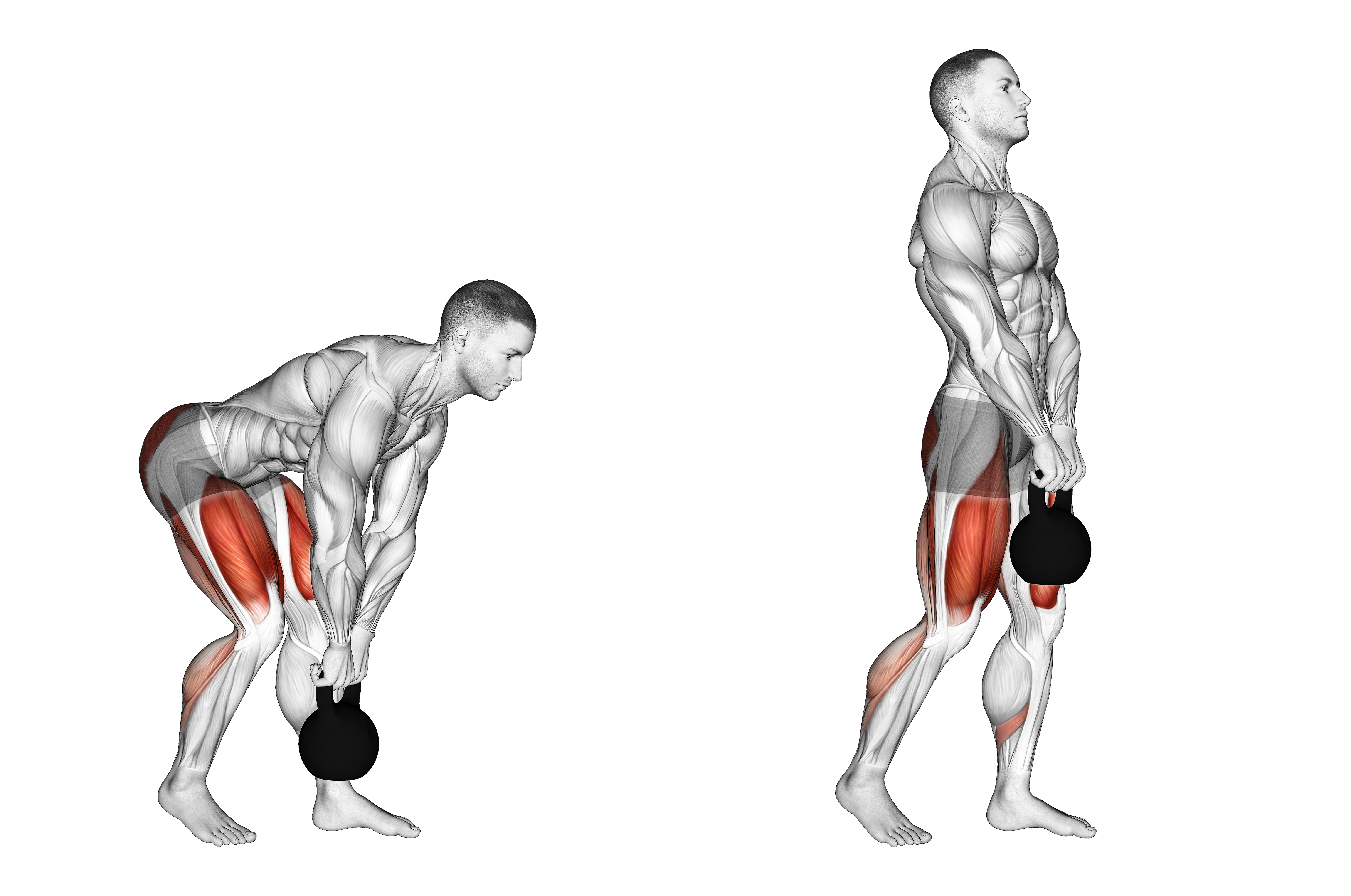 Kettlebell Kickstand One Leg Deadlift