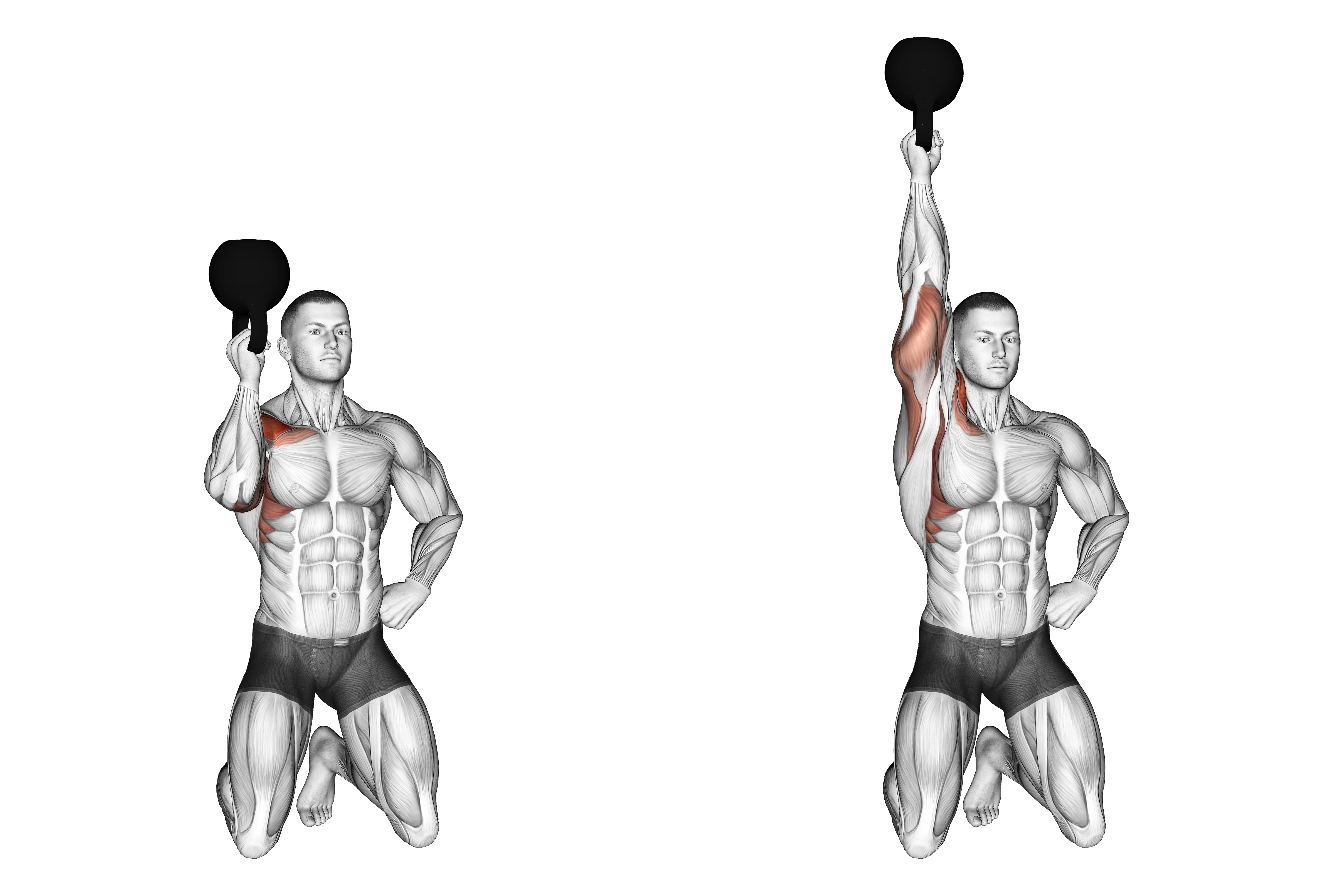 Kettlebell Kneeling One Arm Bottoms Up Press