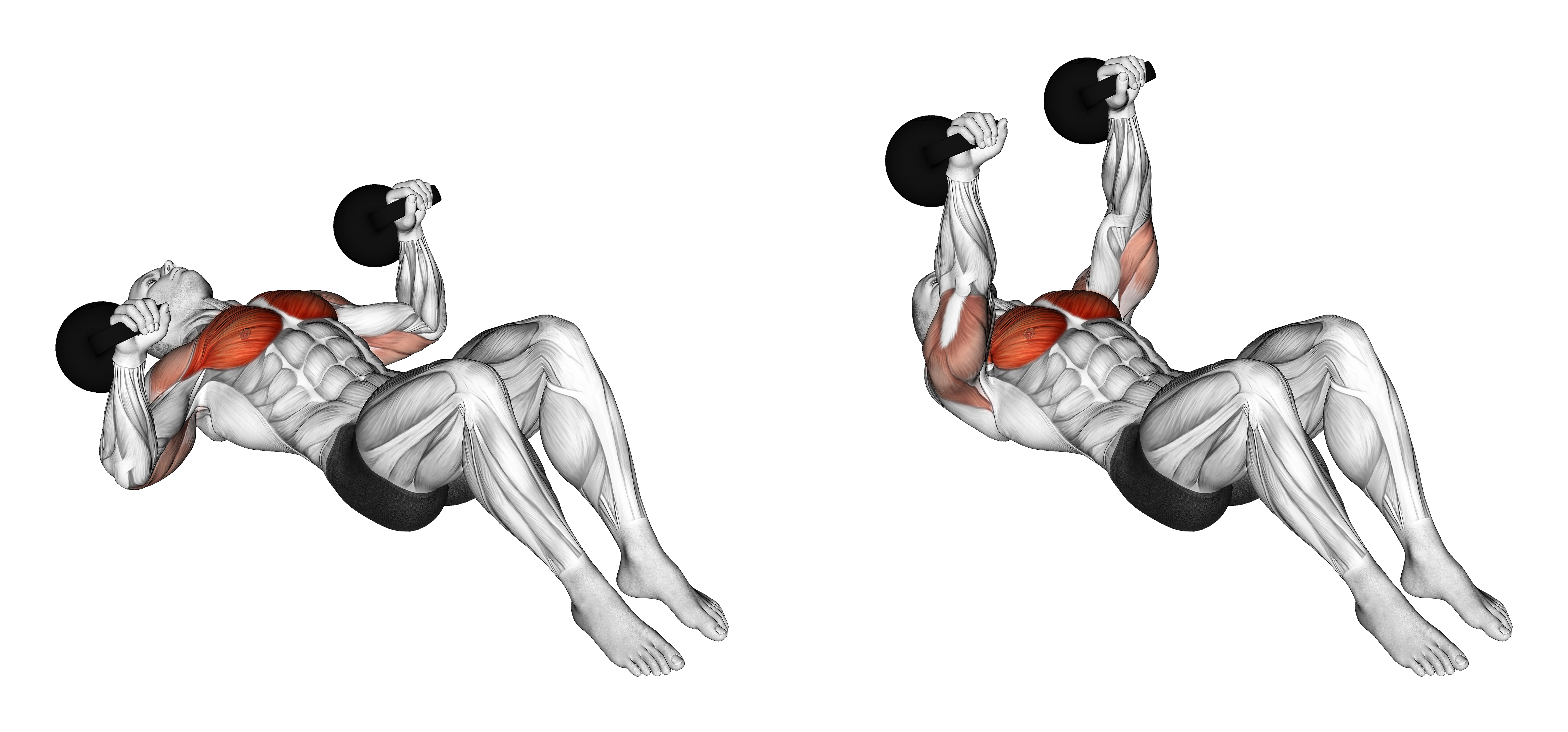 Kettlebell Lying On Floor Chest Press