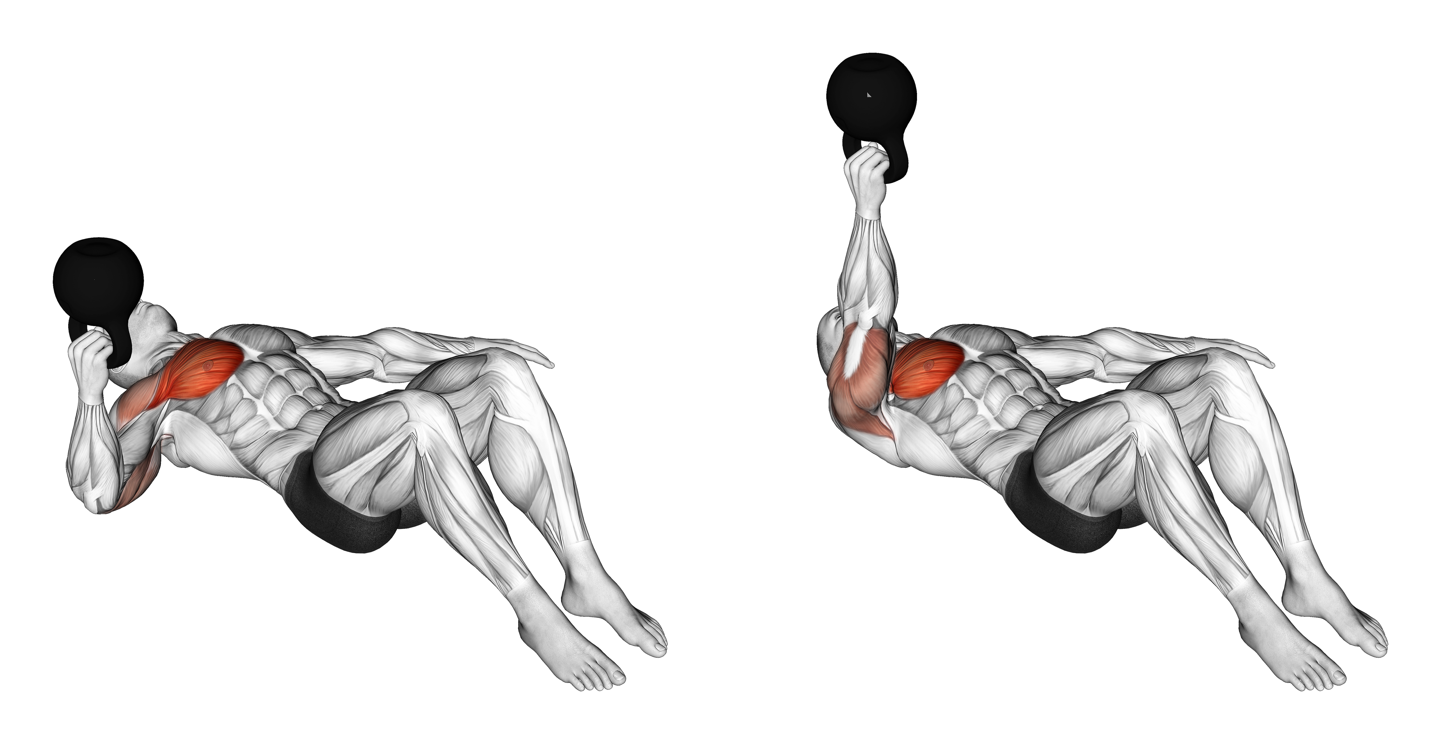 Kettlebell Lying On Floor Single Arm Bottoms Up Chest Press