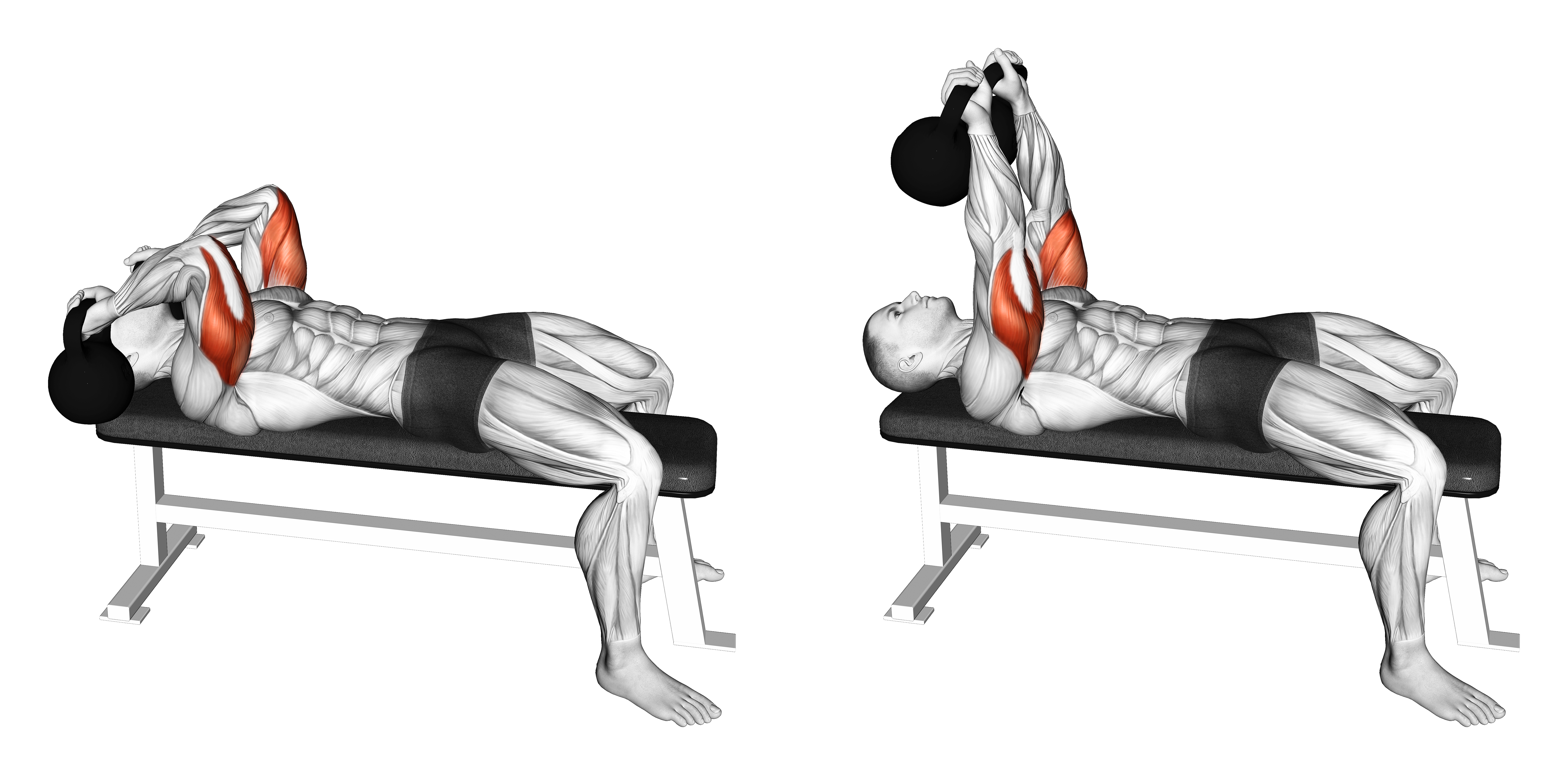 Kettlebell Lying Triceps Extension Skull Crusher
