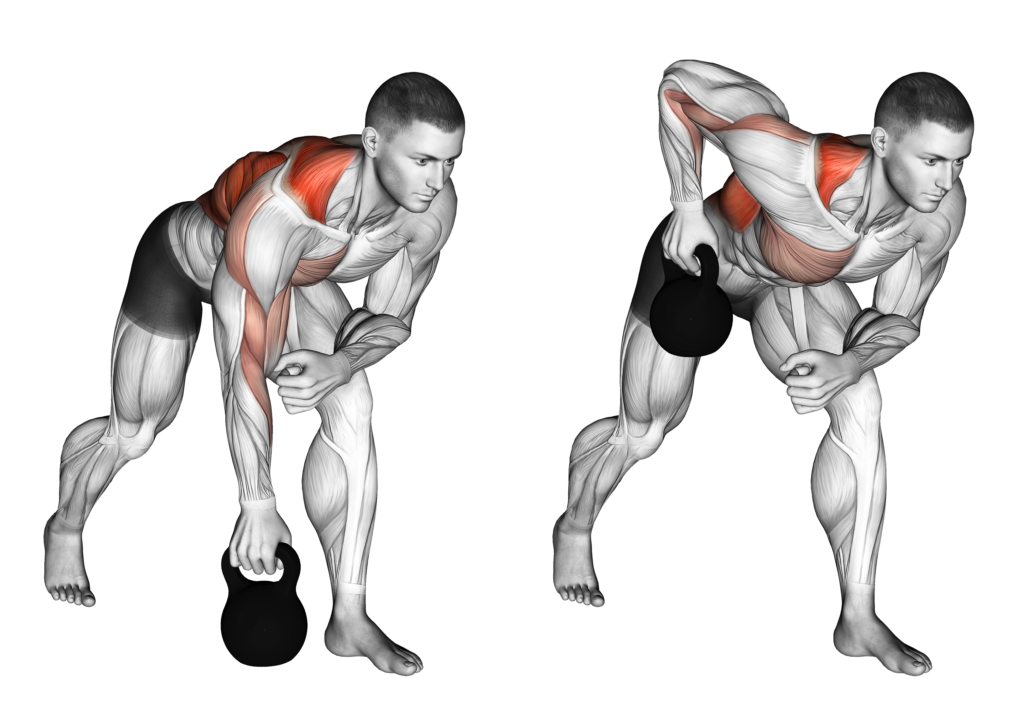 Kettlebell One Arm Row