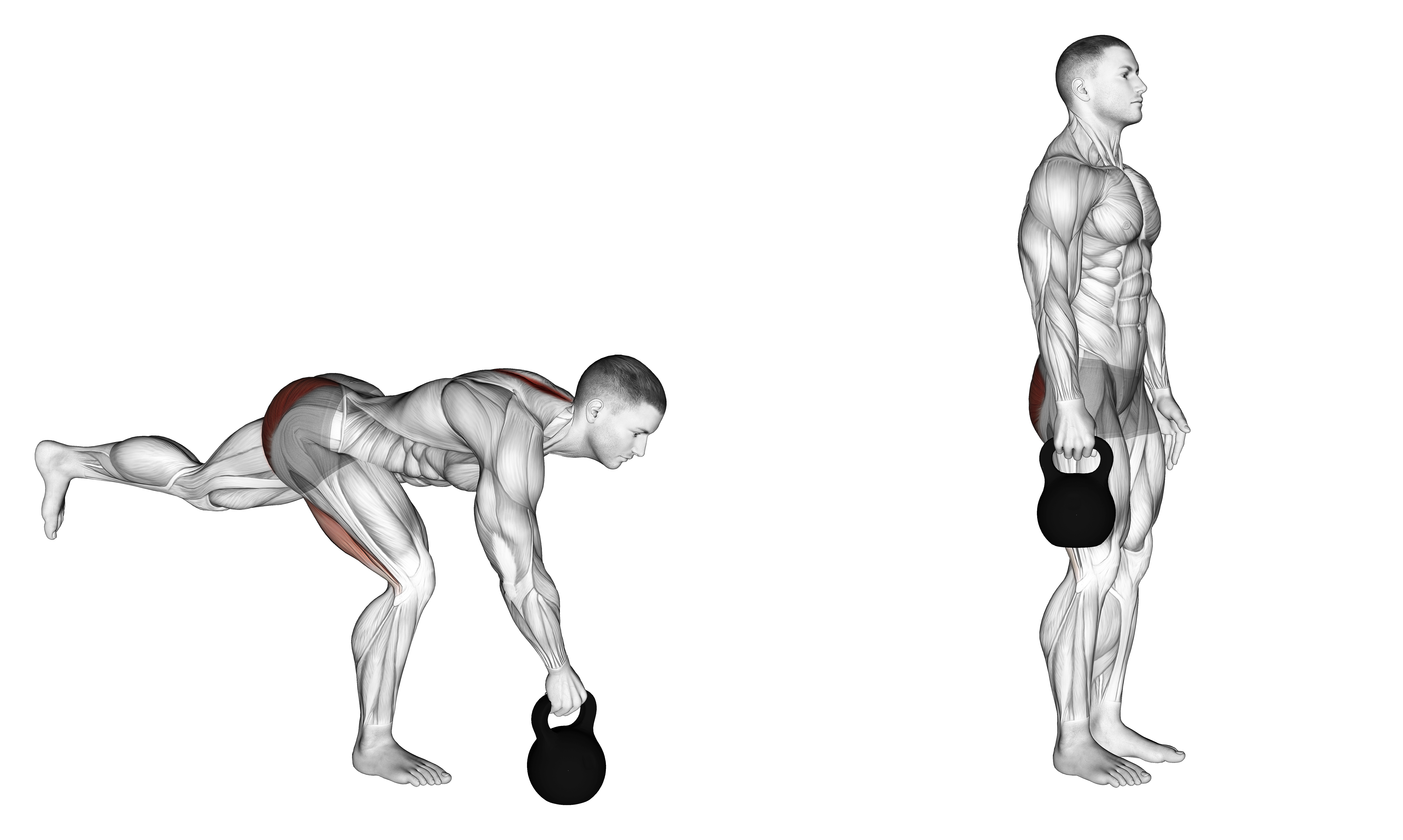 Kettlebell One Legged Deadlift