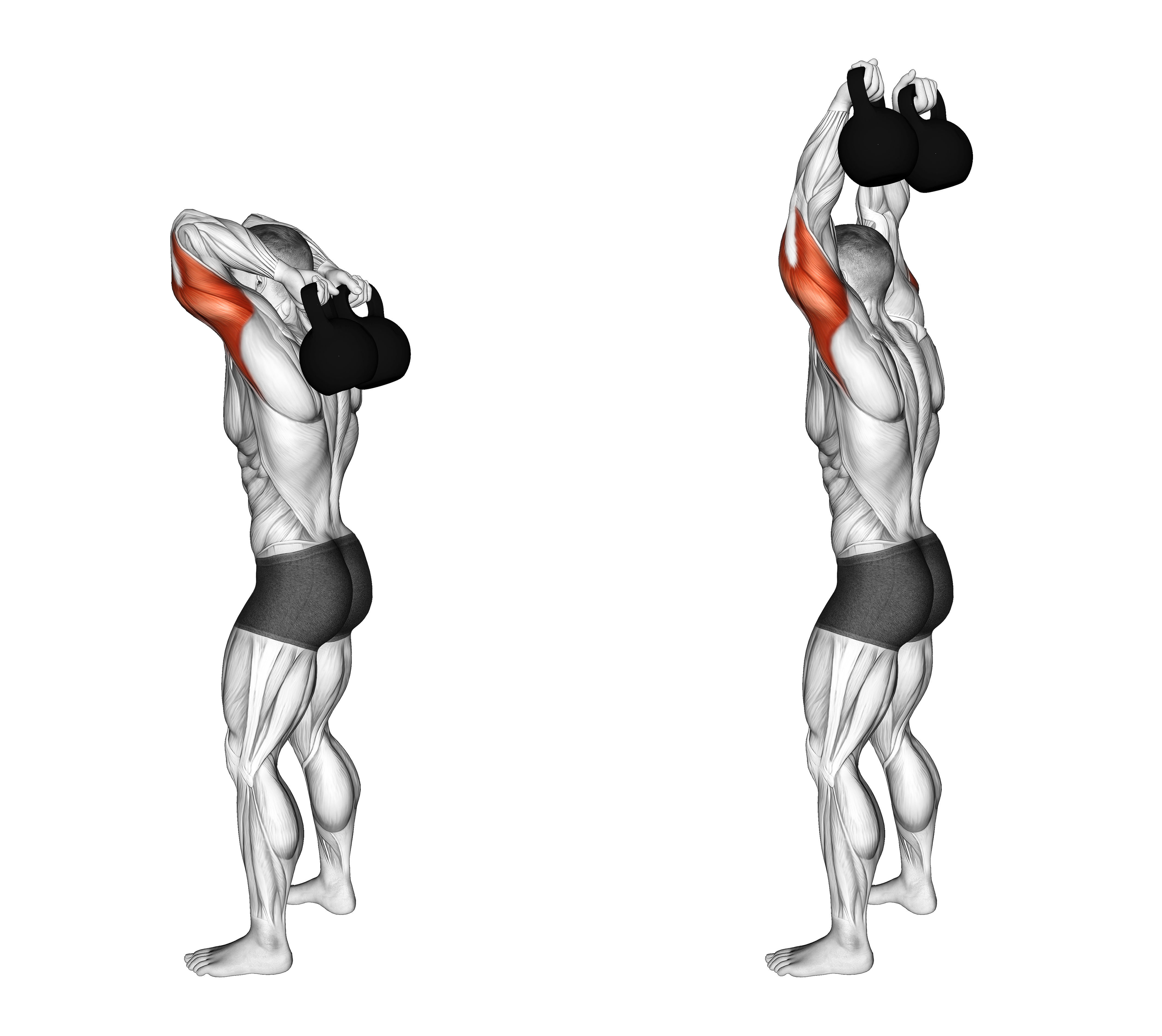Kettlebell Overhead Triceps Extension