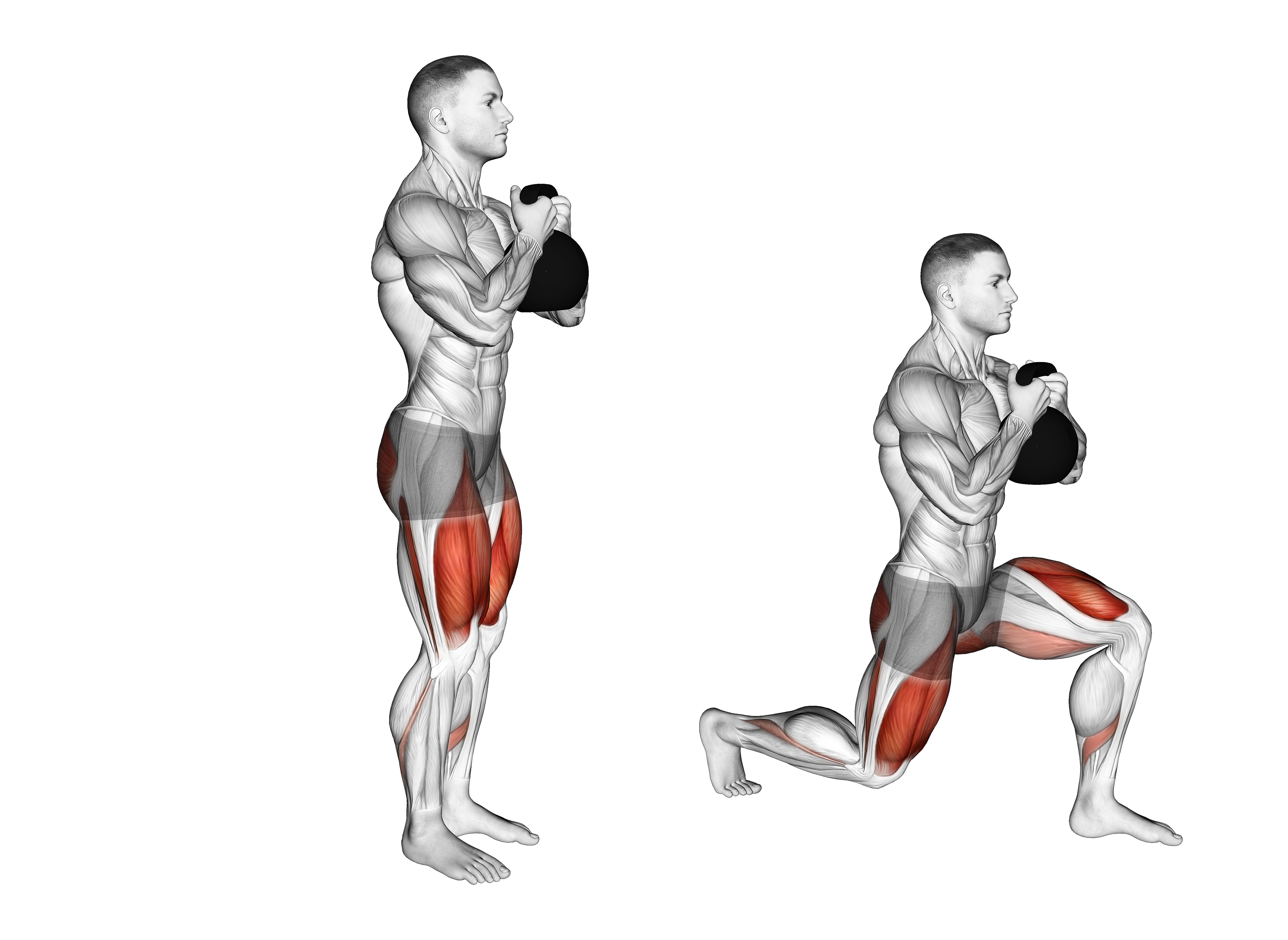 Kettlebell Rear Lunge