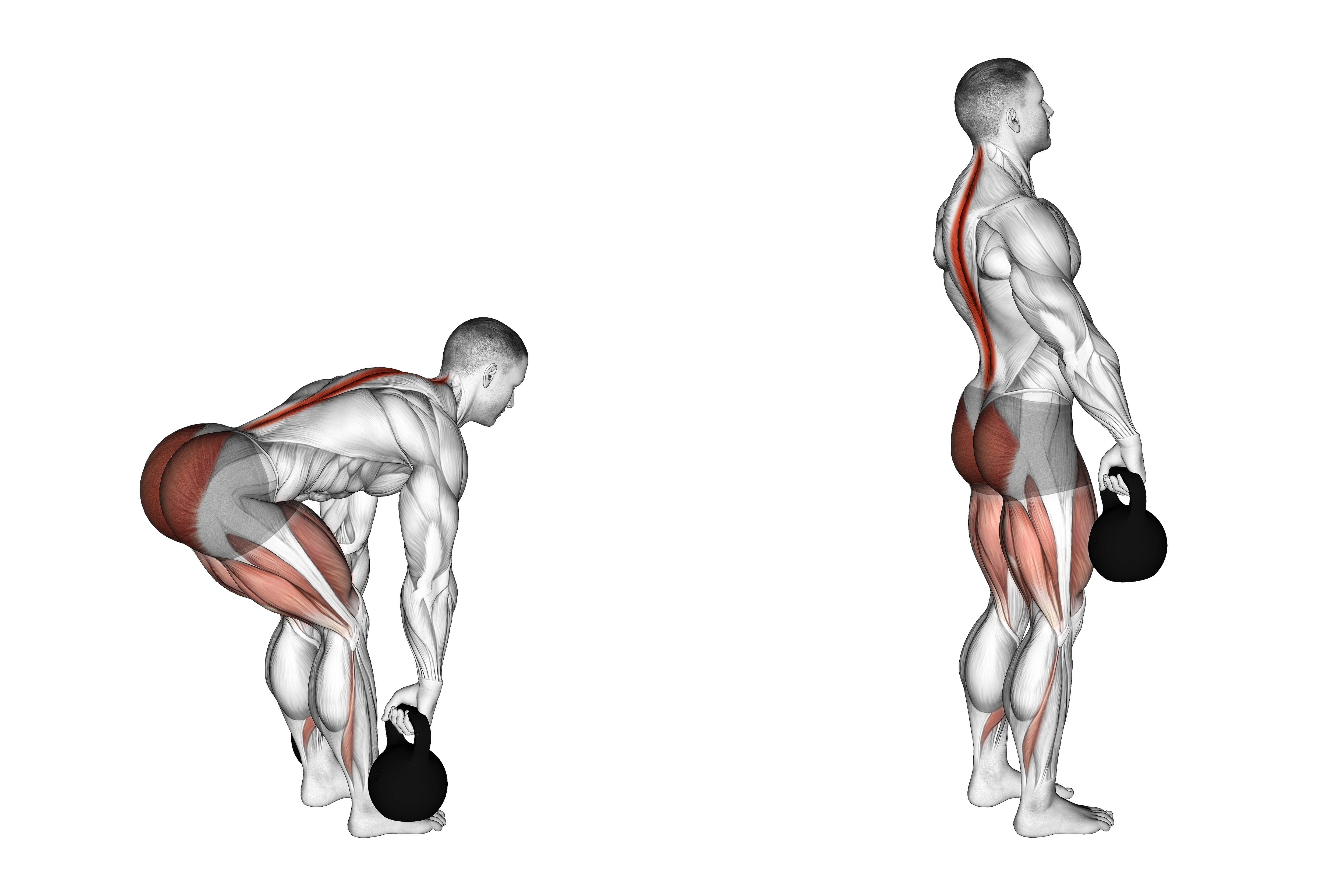 Kettlebell Romanian Deadlift
