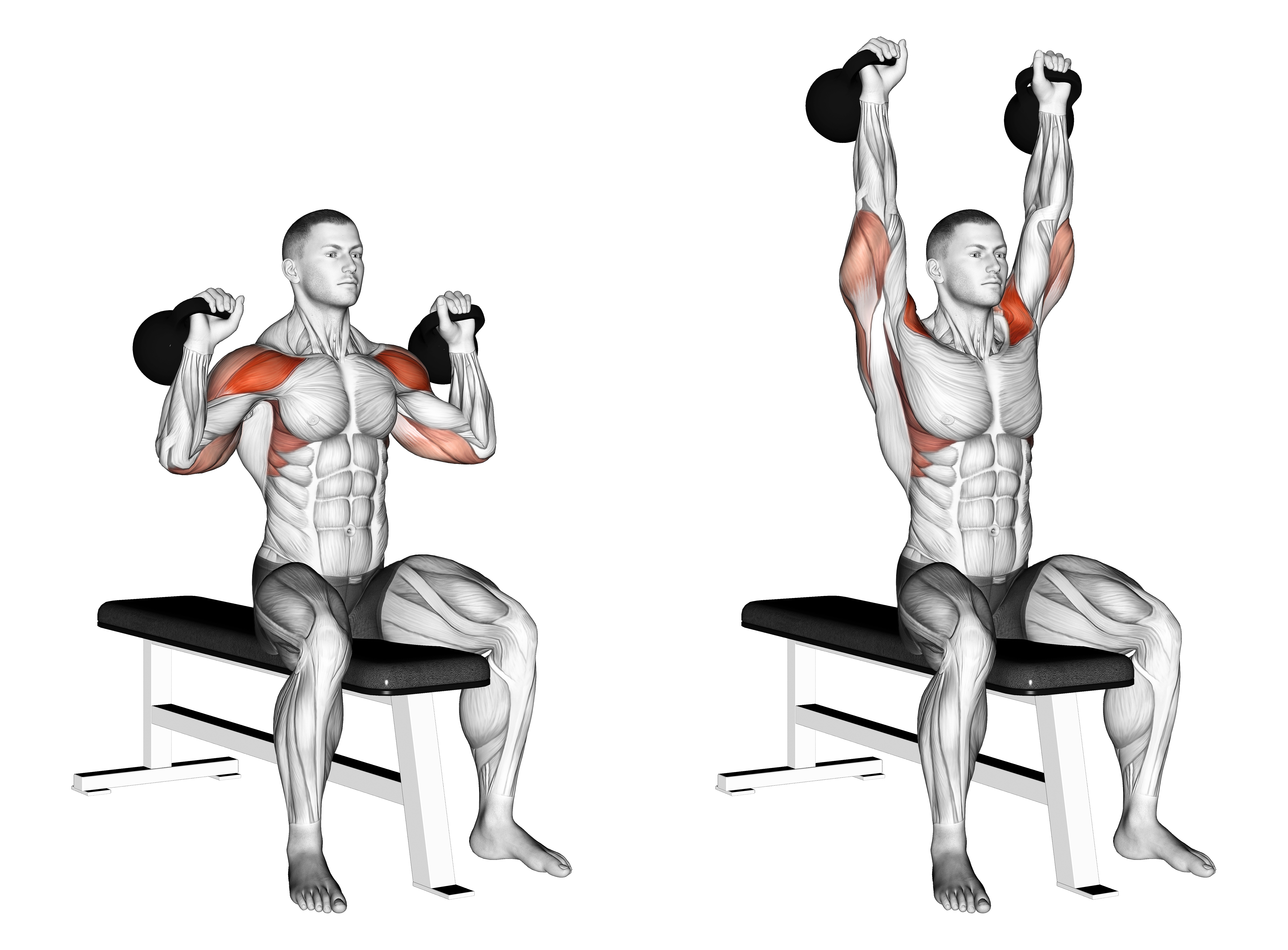 Kettlebell Seated Two Arm Military Press