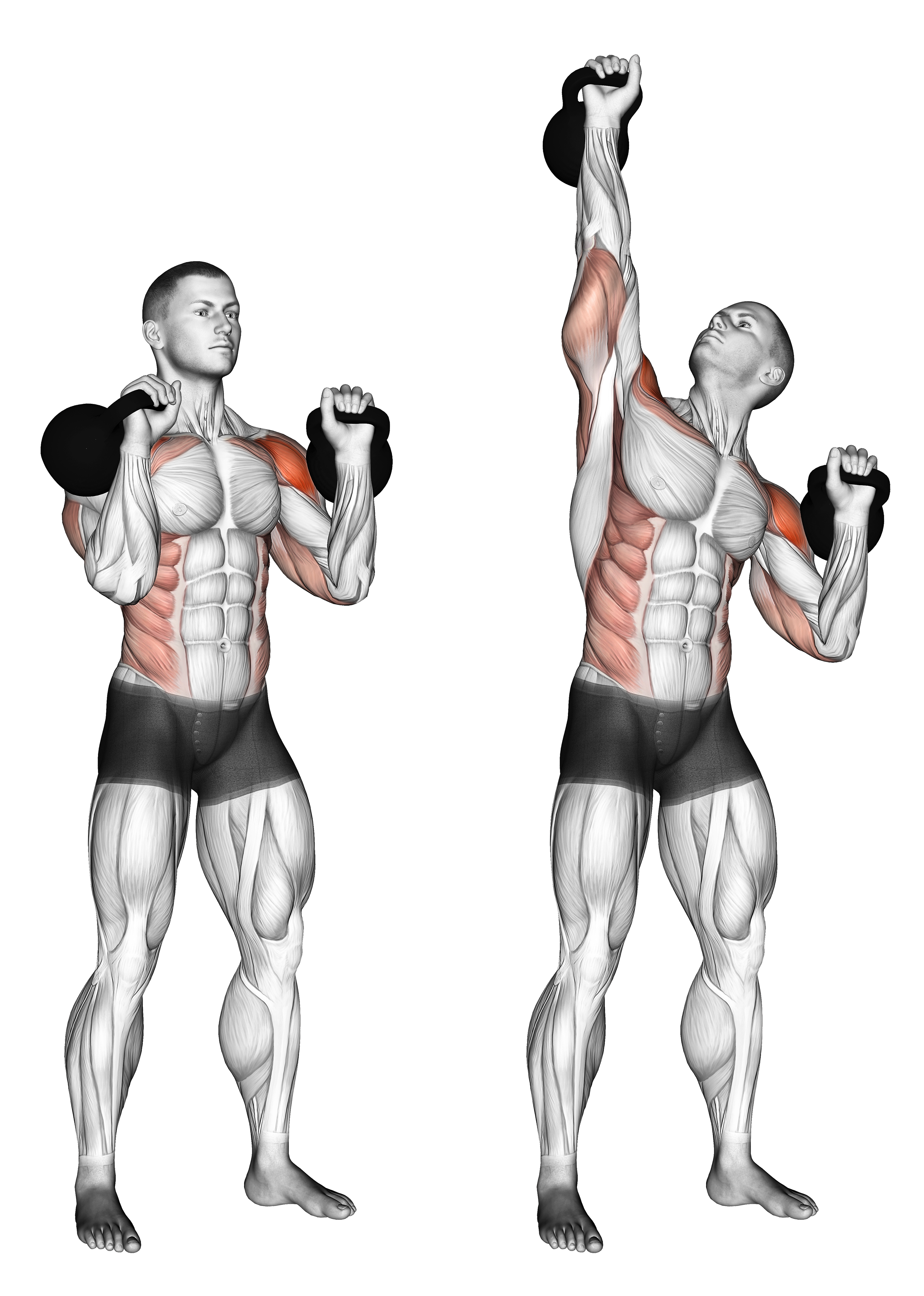 Kettlebell Seesaw Press
