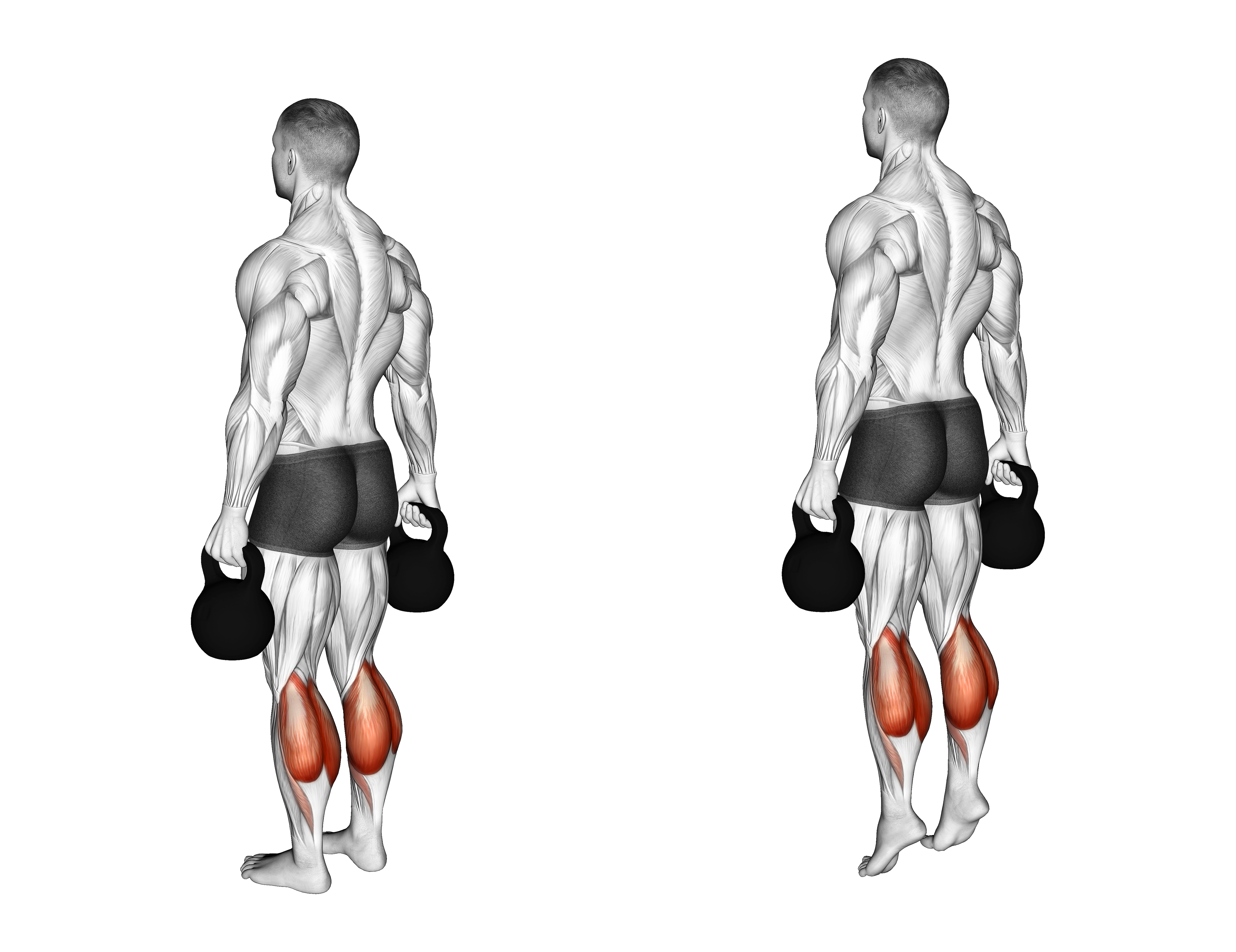 Kettlebell Standing Calf Raise