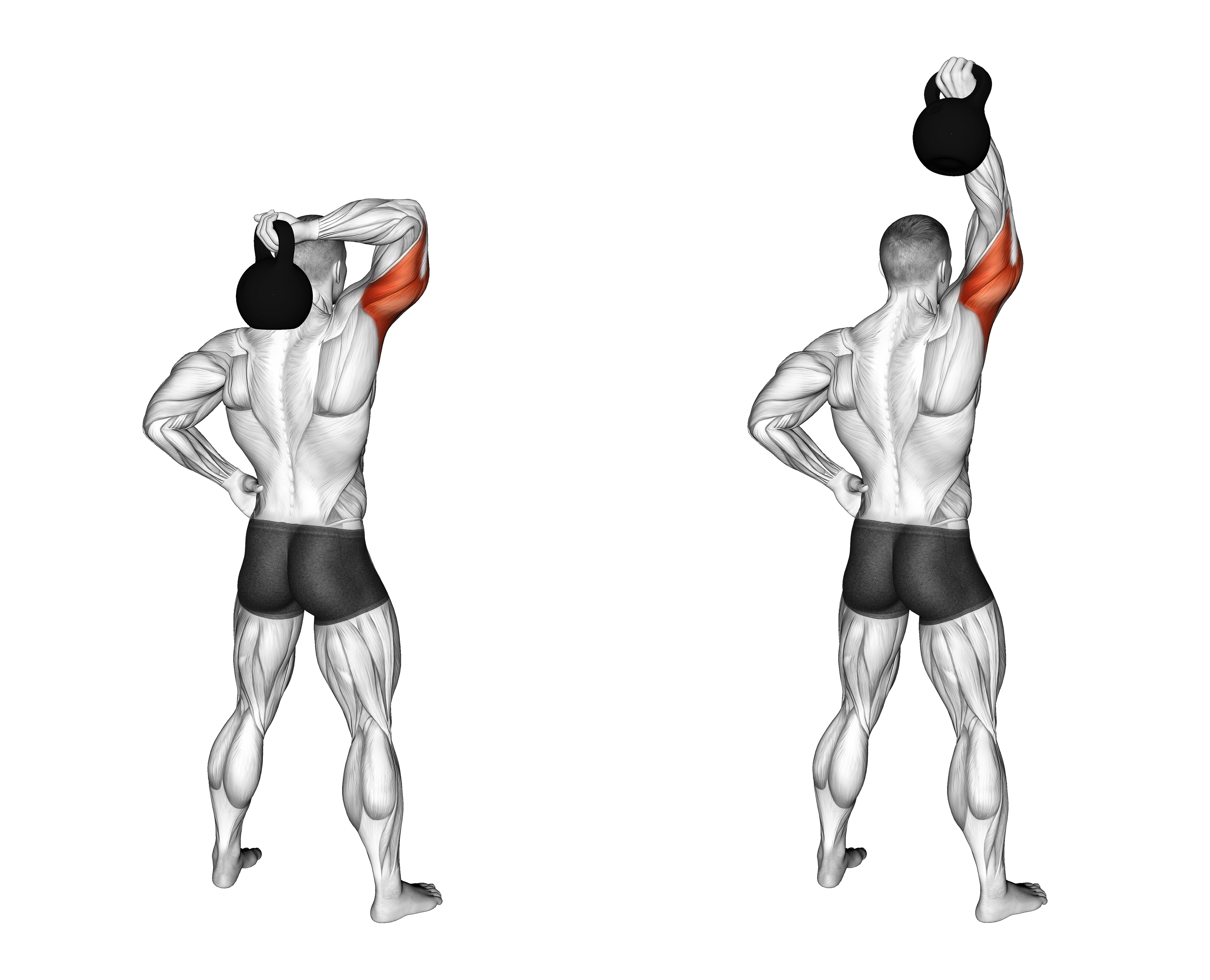 Kettlebell Standing One Arm Extension