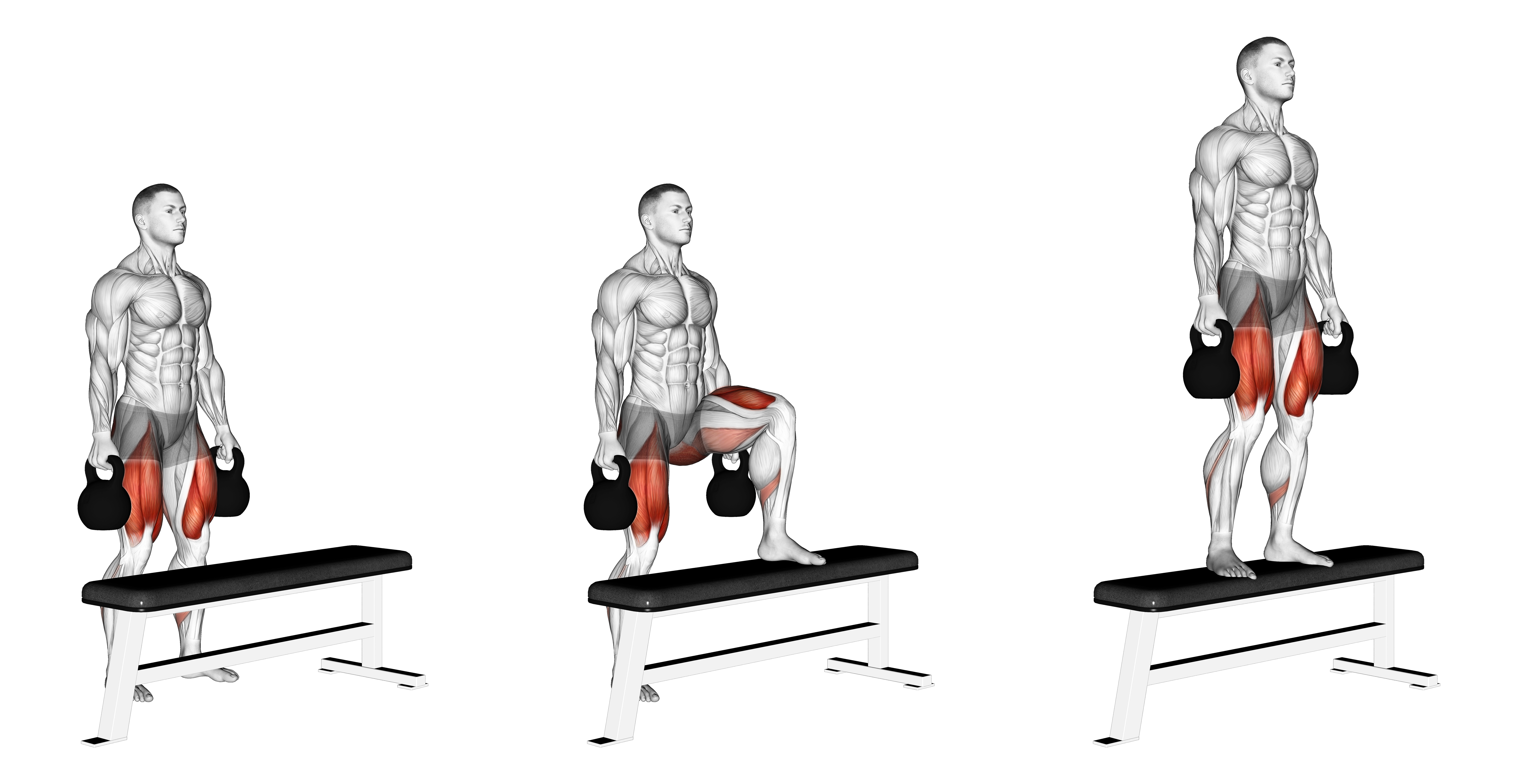 Kettlebell Step Up (version 2)
