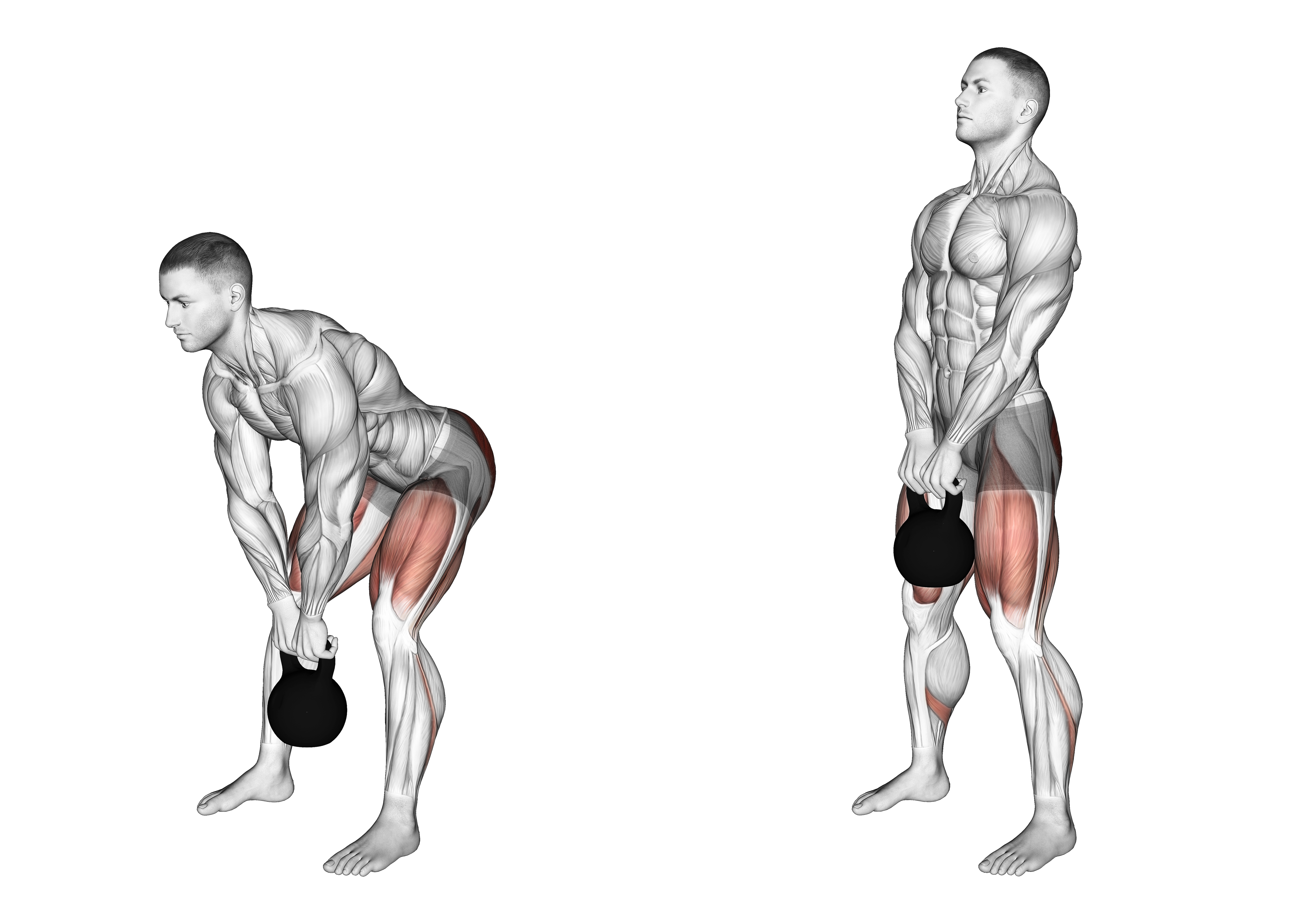 Kettlebell Straight Leg Deadlift