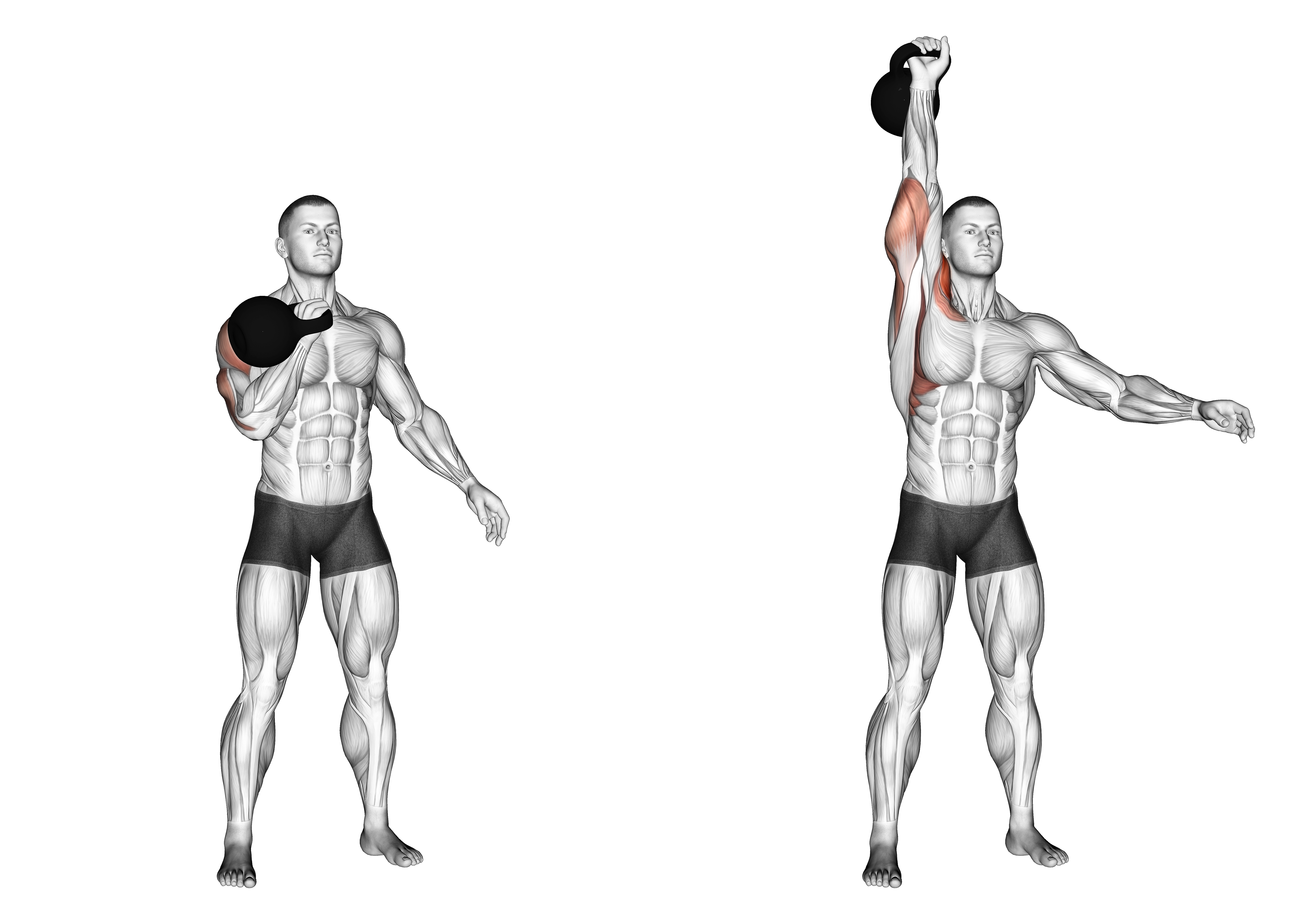 Kettlebell Strict Press