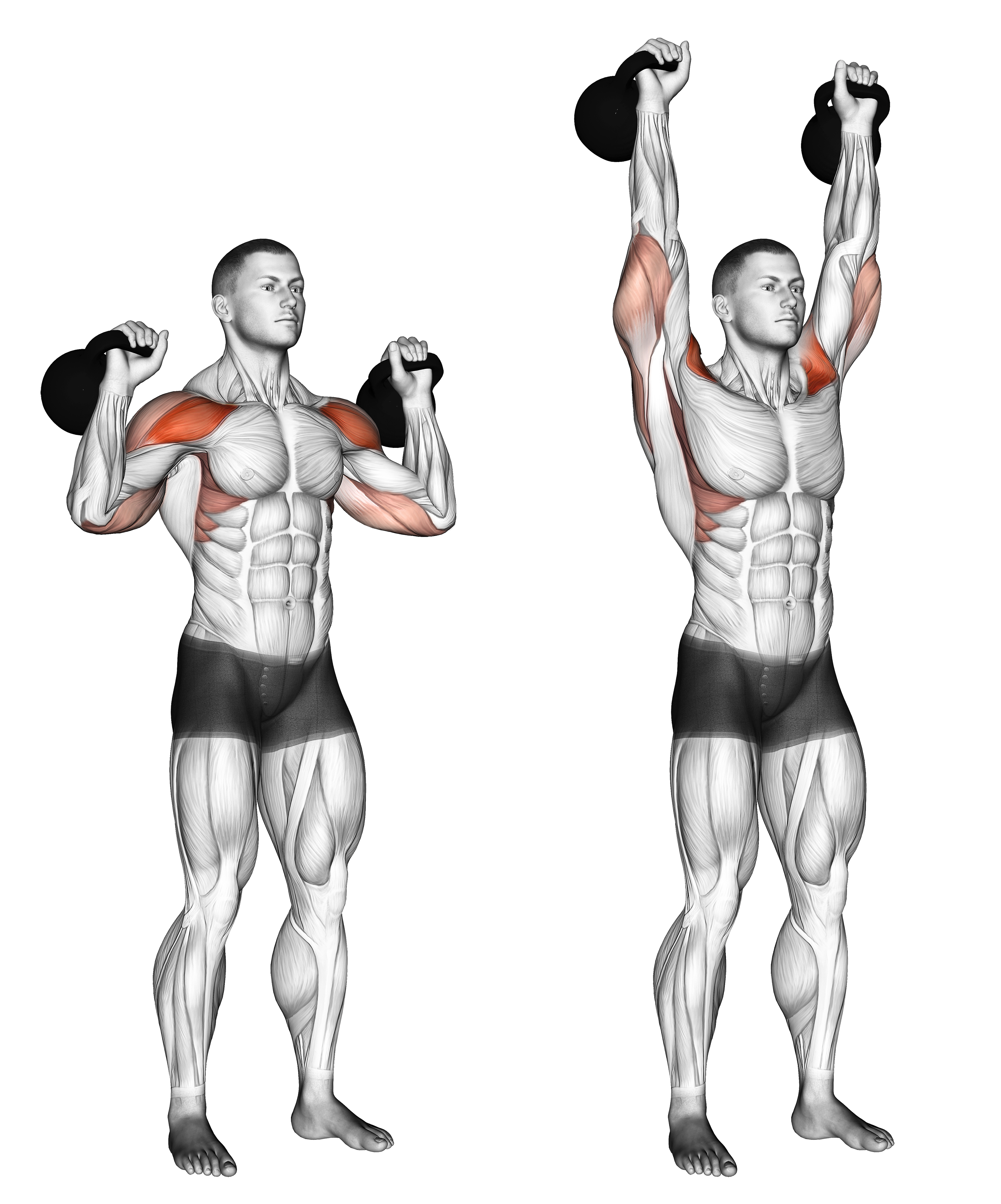 Kettlebell Two Arm Military Press