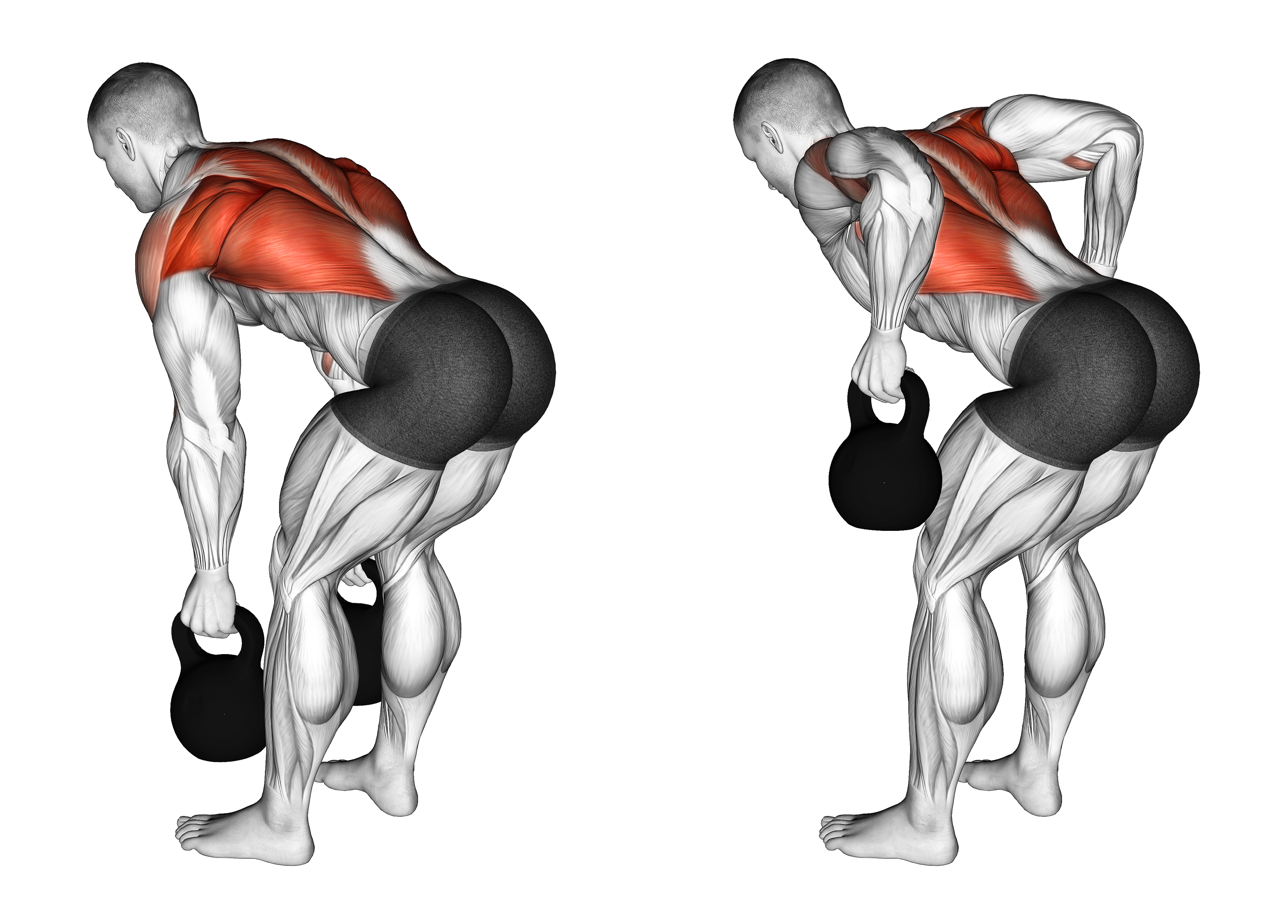 Kettlebell Two Arm Row