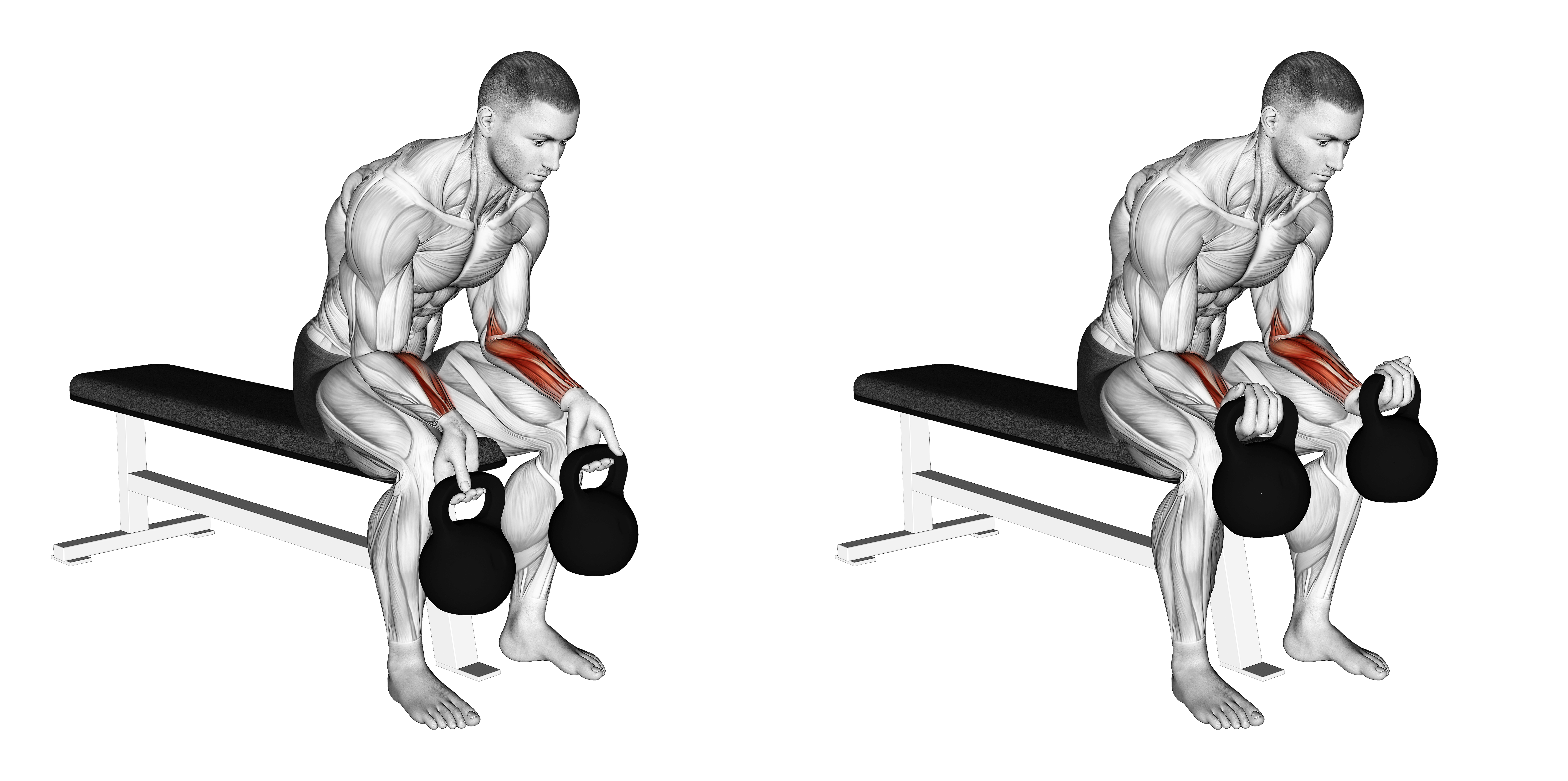 Kettlebell Wrist Curl
