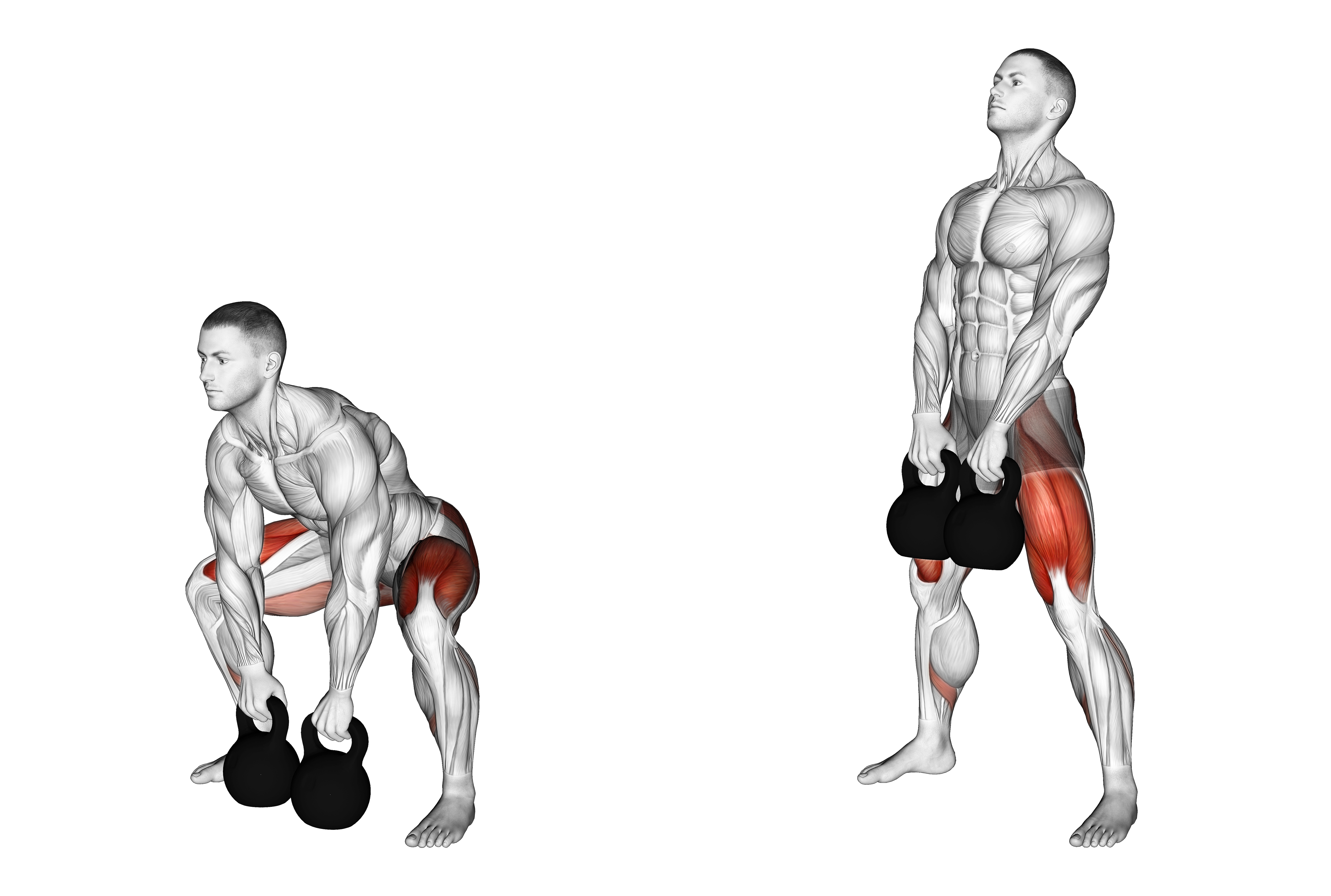 Kettlebells Sumo Deadlift