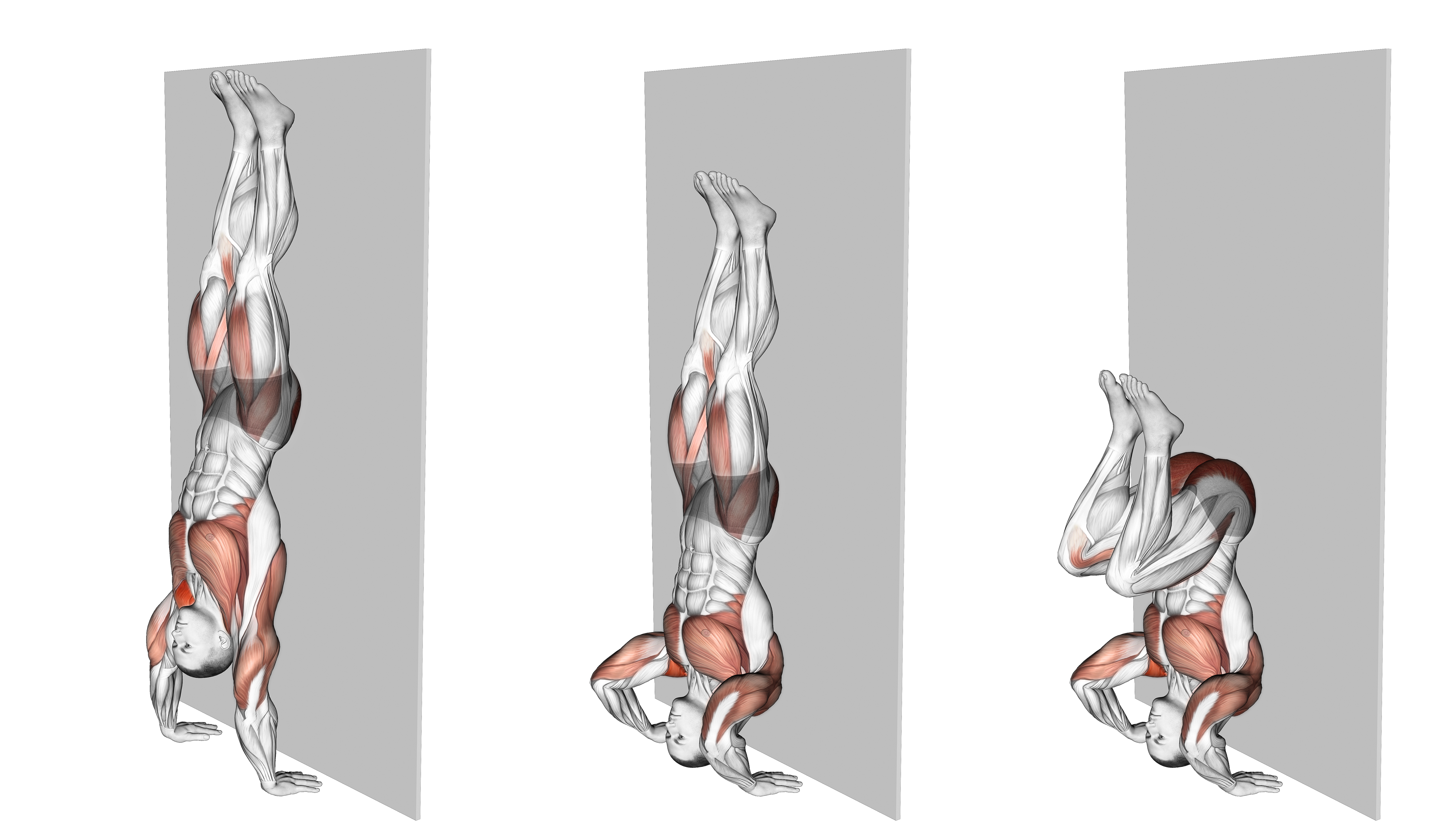 Kipping Handstand Push Up