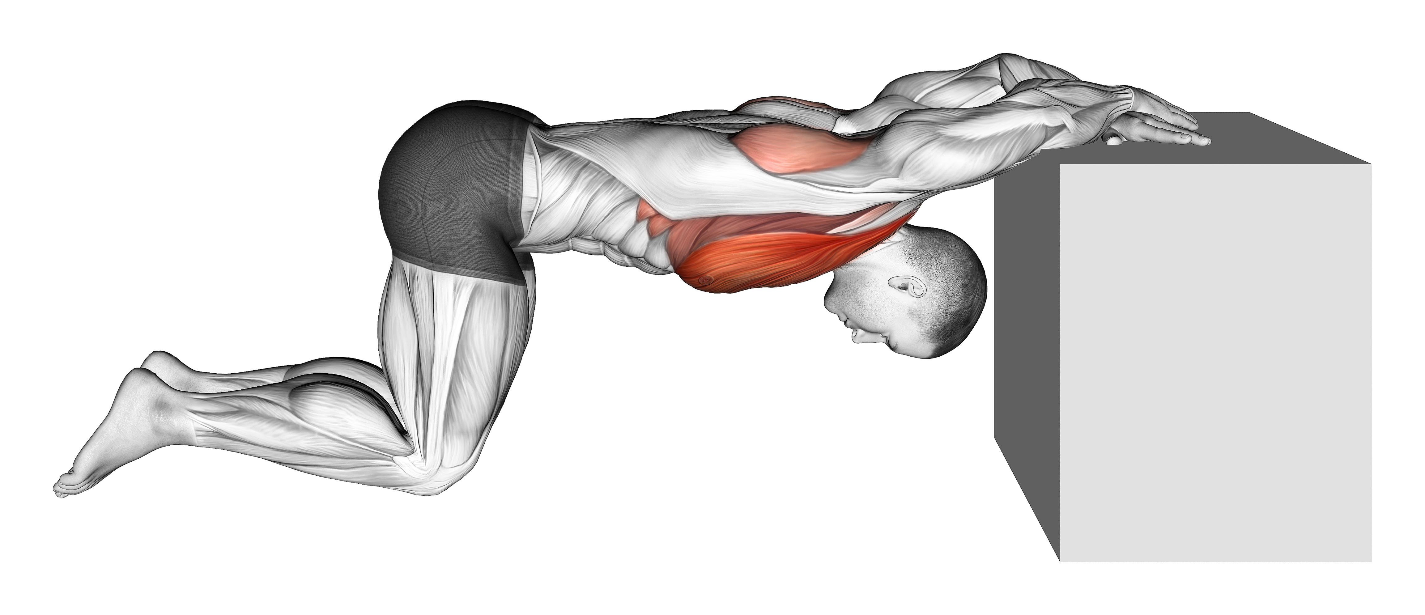 Kneeling Chest Stretch