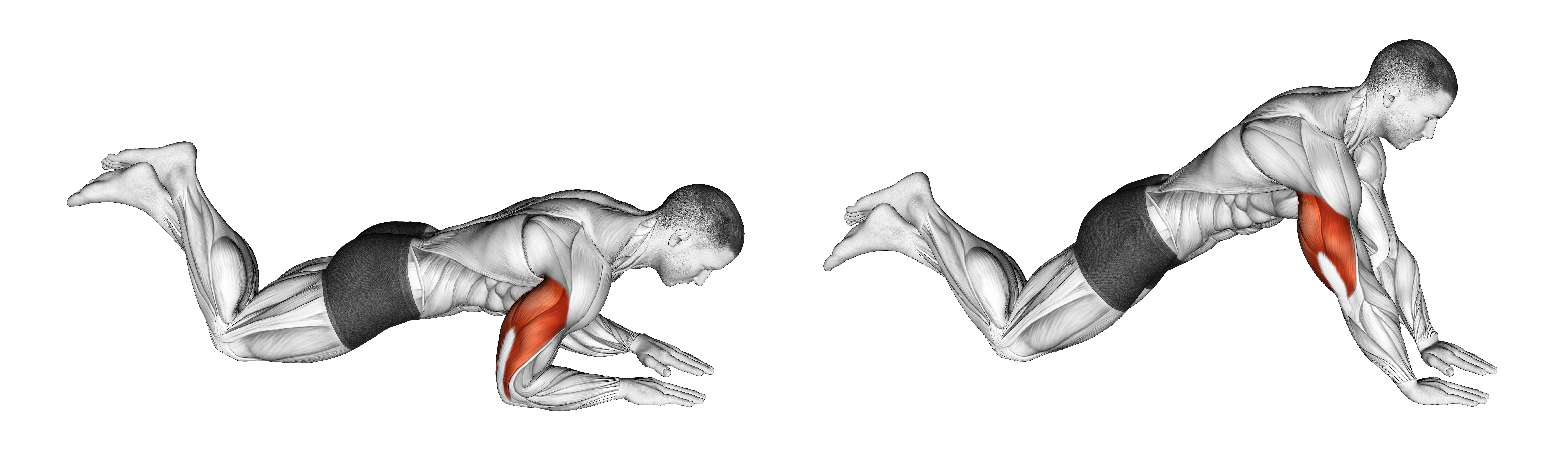 Kneeling Half Triceps Extension