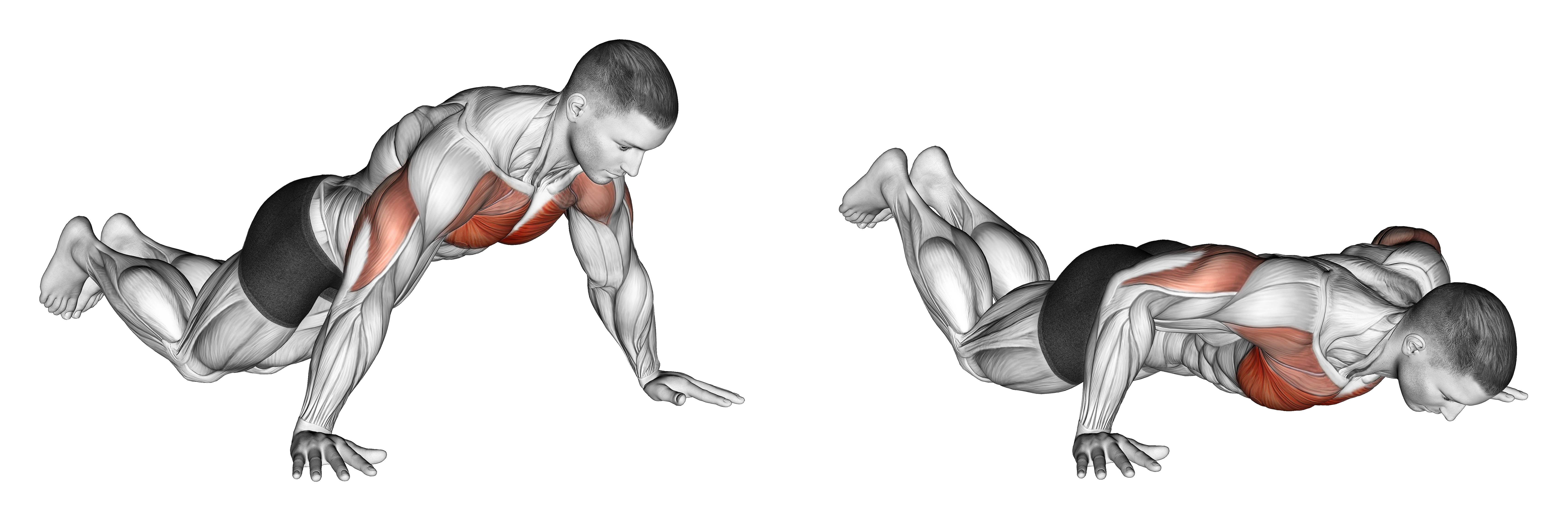 Kneeling Wide Hand Push Up