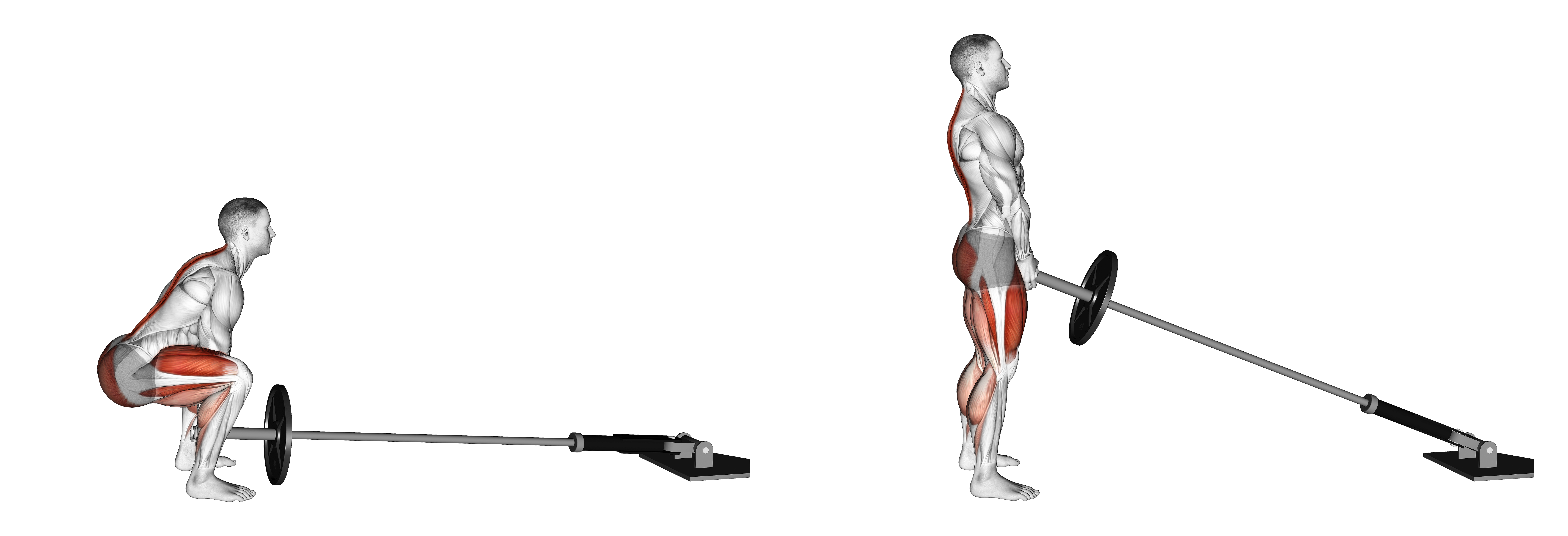 Landmine Deadlift