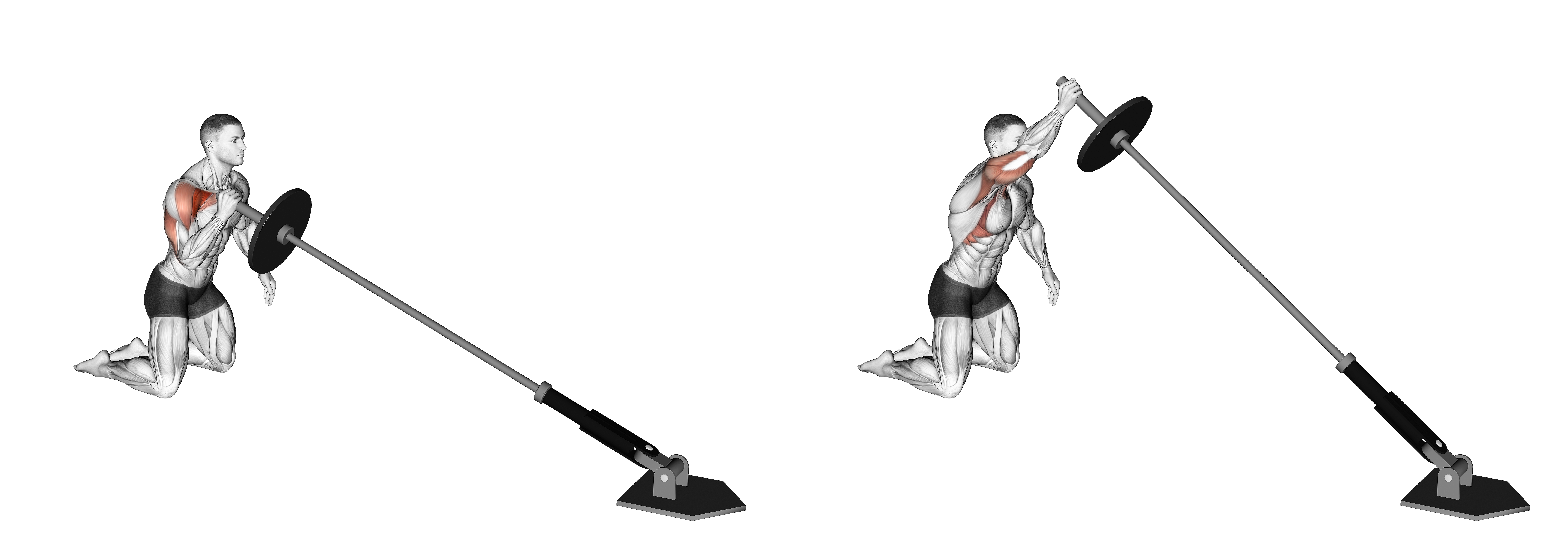Landmine Kneeling One Arm Shoulder Press (version 2)