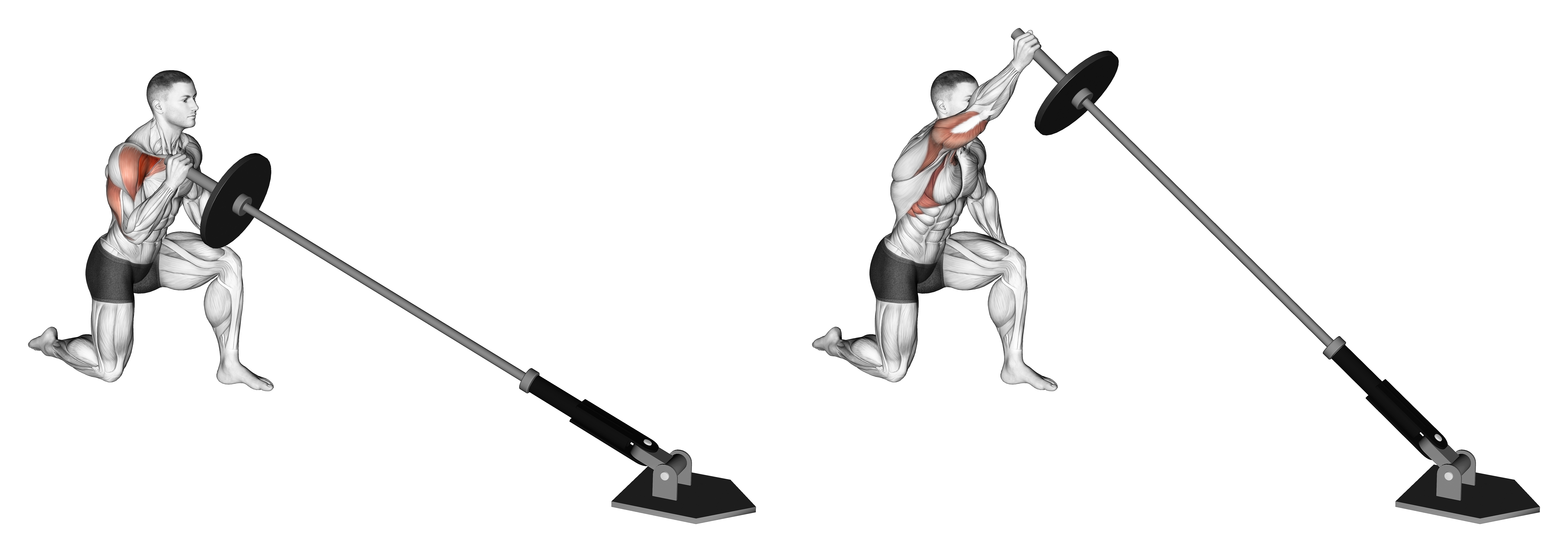 Landmine Kneeling One Arm Shoulder Press