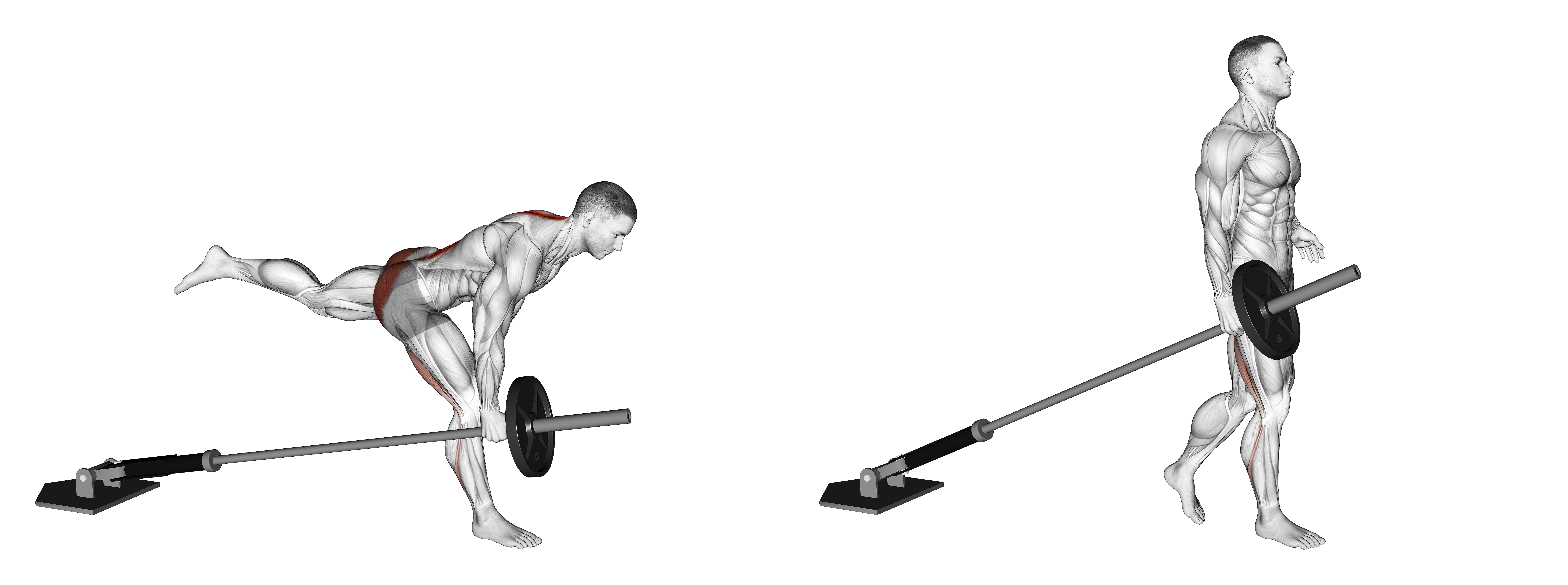 Landmine One Leg Stiff Leg Deadlift
