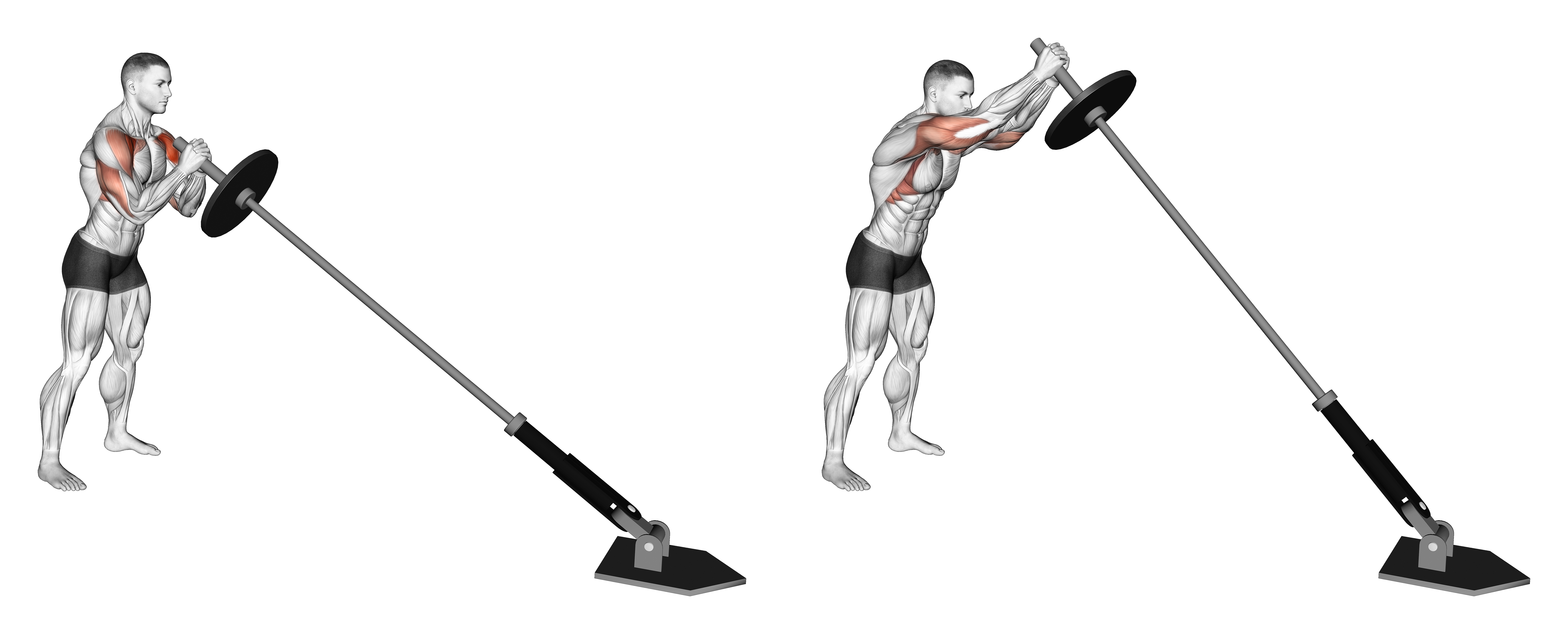 Landmine Press