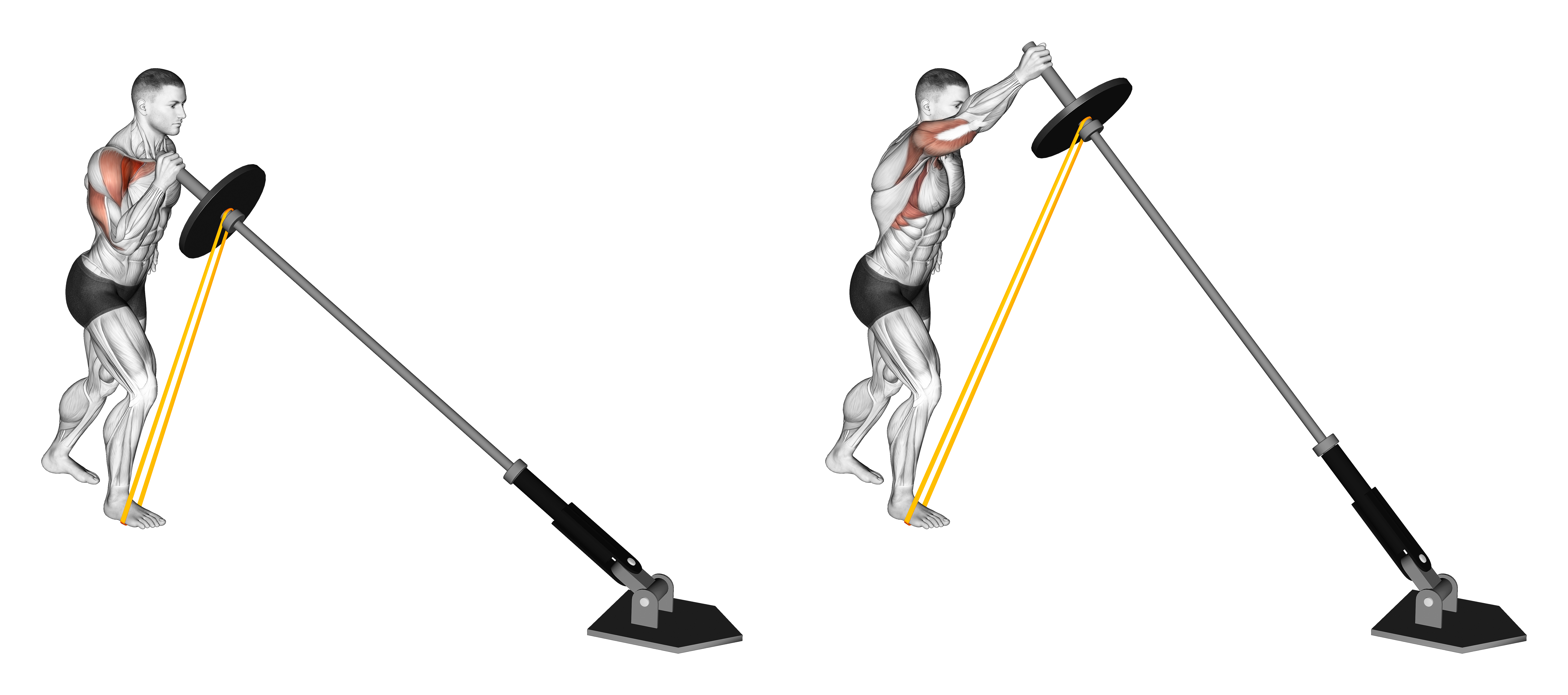 Landmine Resistance Band One Arm Shoulder Press